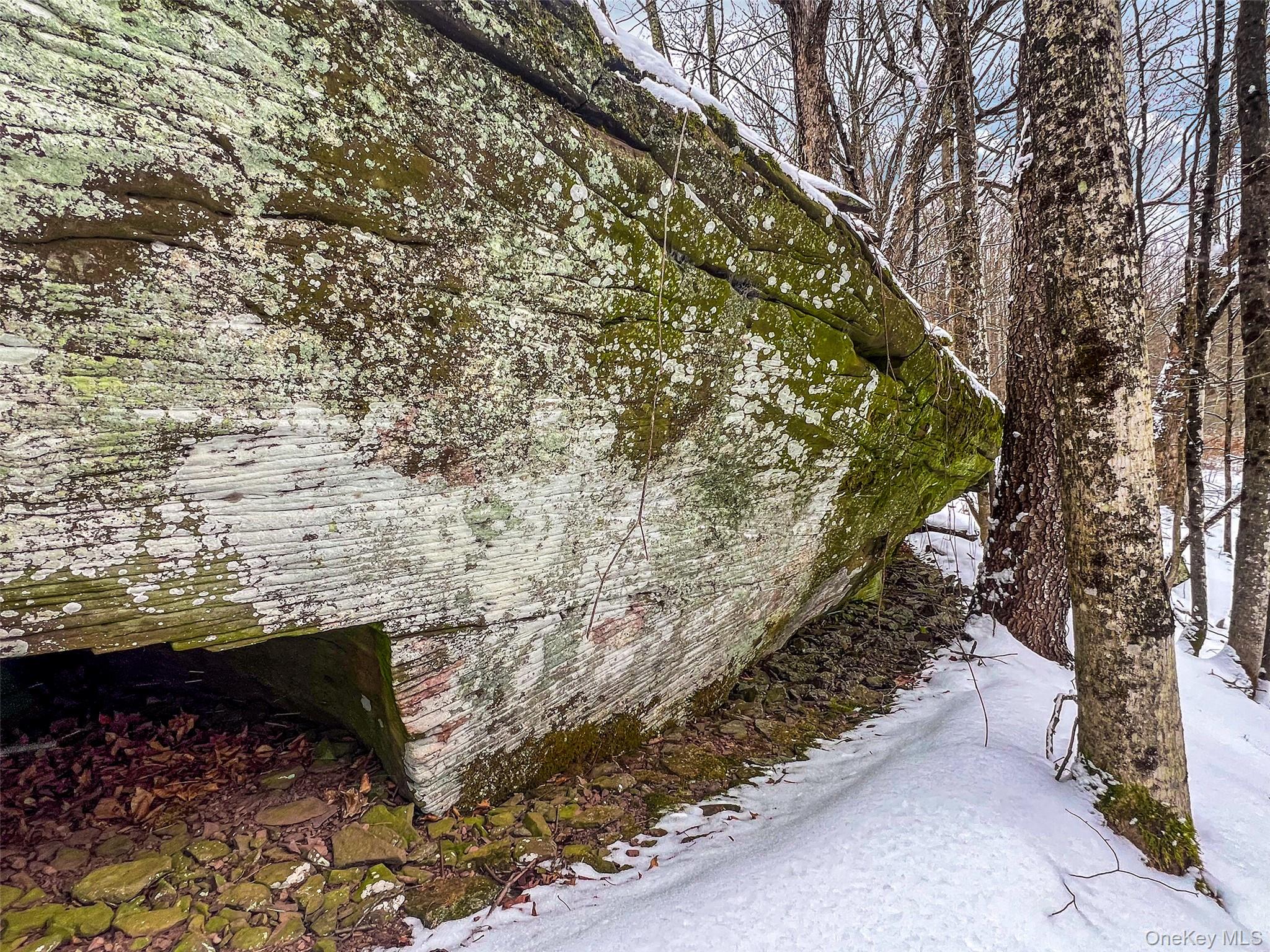 #13 photo, Betty Brook Road, Bloomville , NY 13842