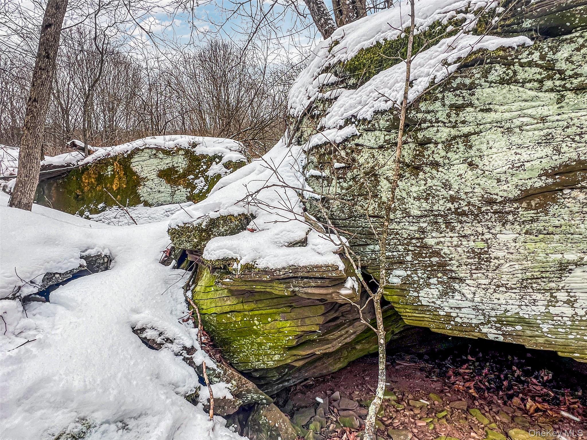 #14 photo, Betty Brook Road, Bloomville , NY 13842