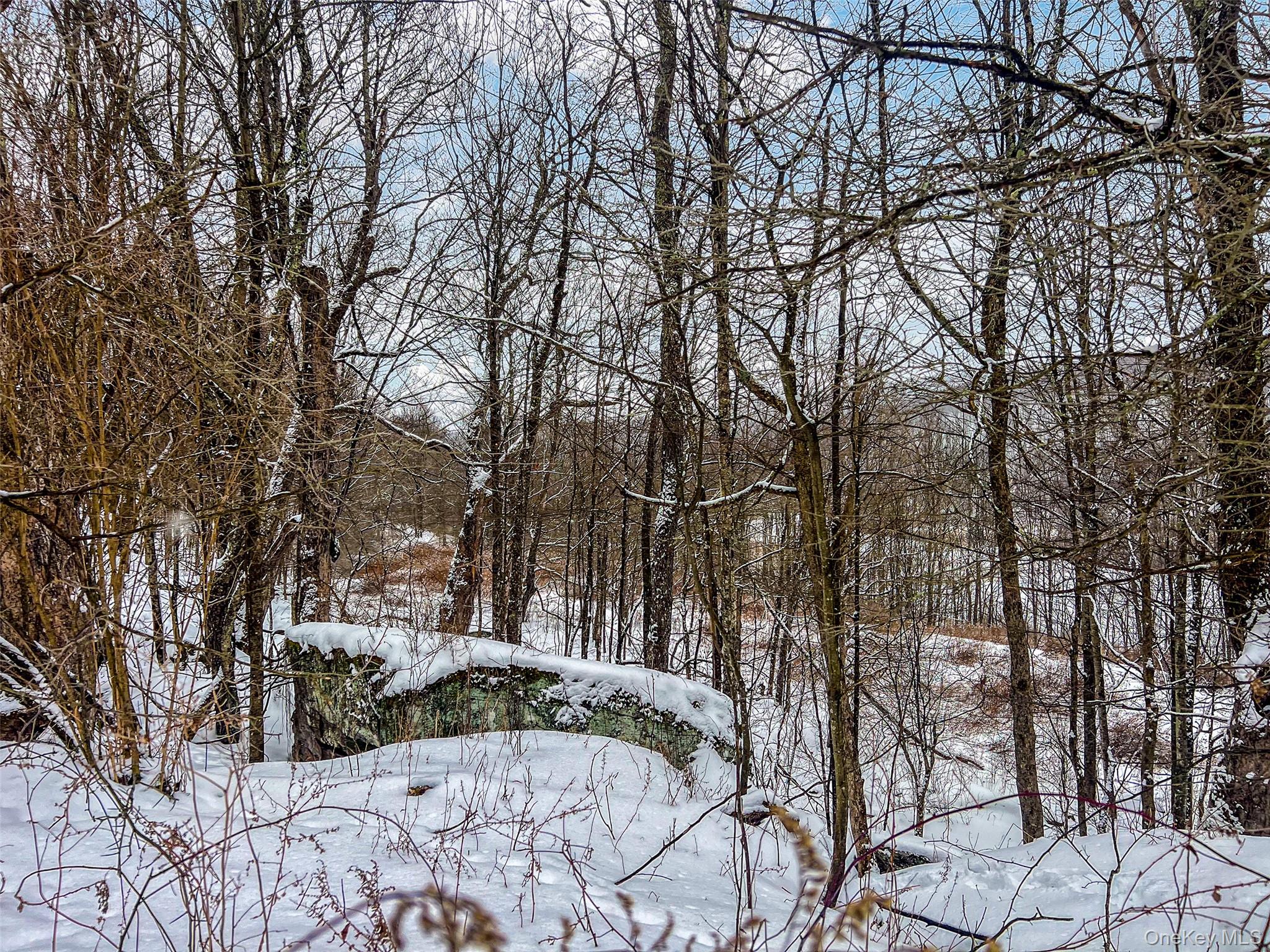 #16 photo, Betty Brook Road, Bloomville , NY 13842