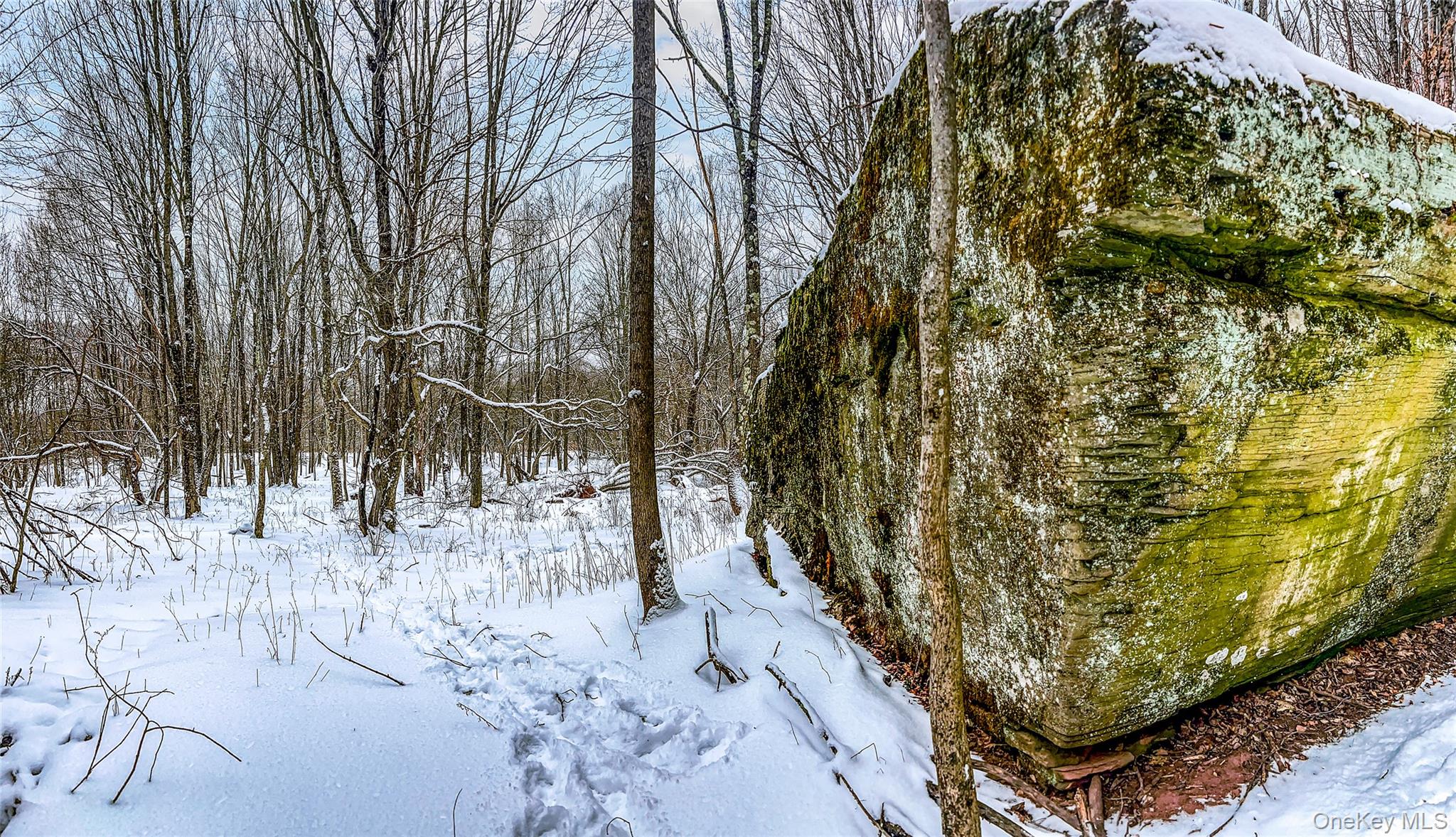 #18 photo, Betty Brook Road, Bloomville , NY 13842