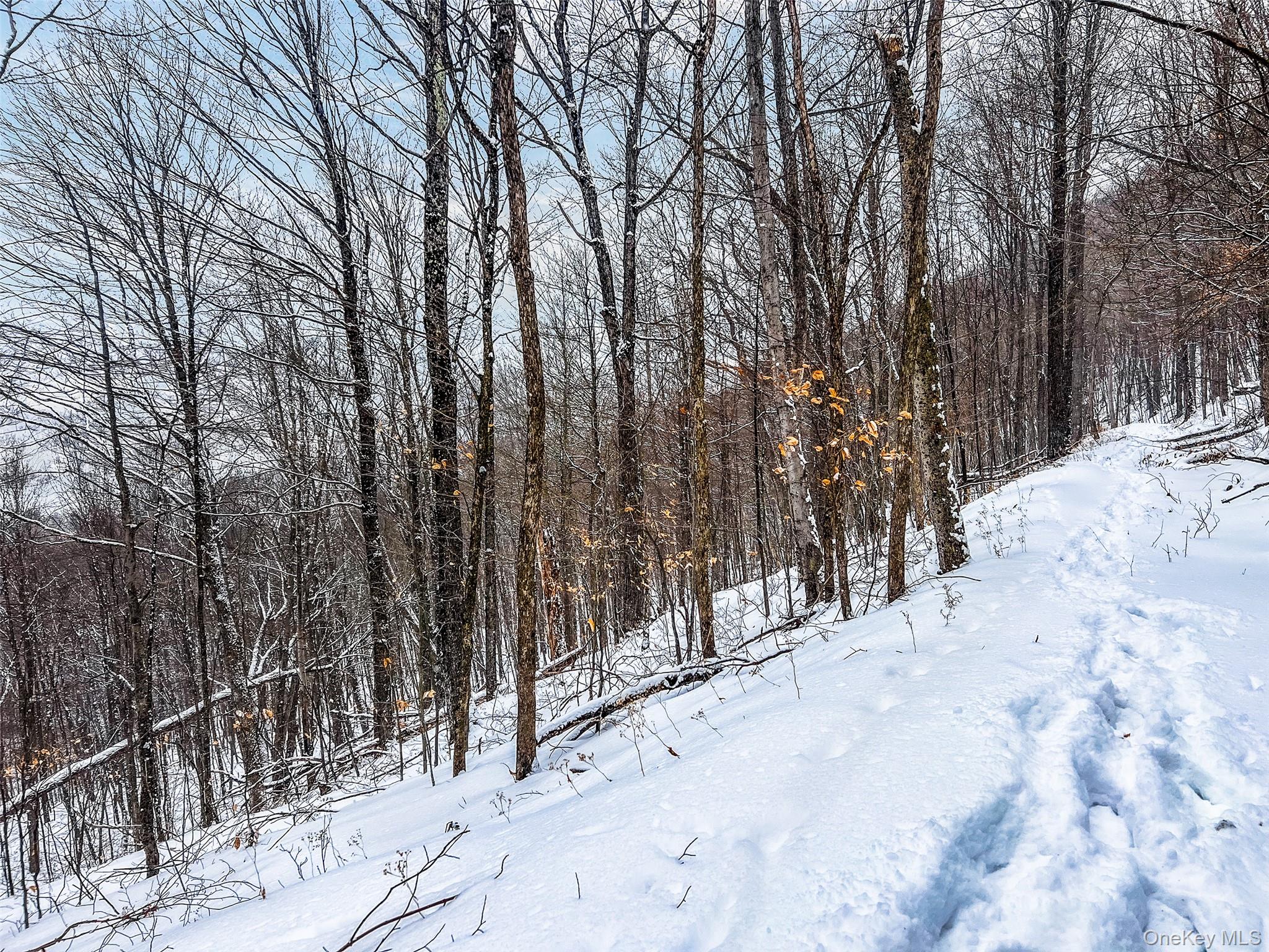 #20 photo, Betty Brook Road, Bloomville , NY 13842