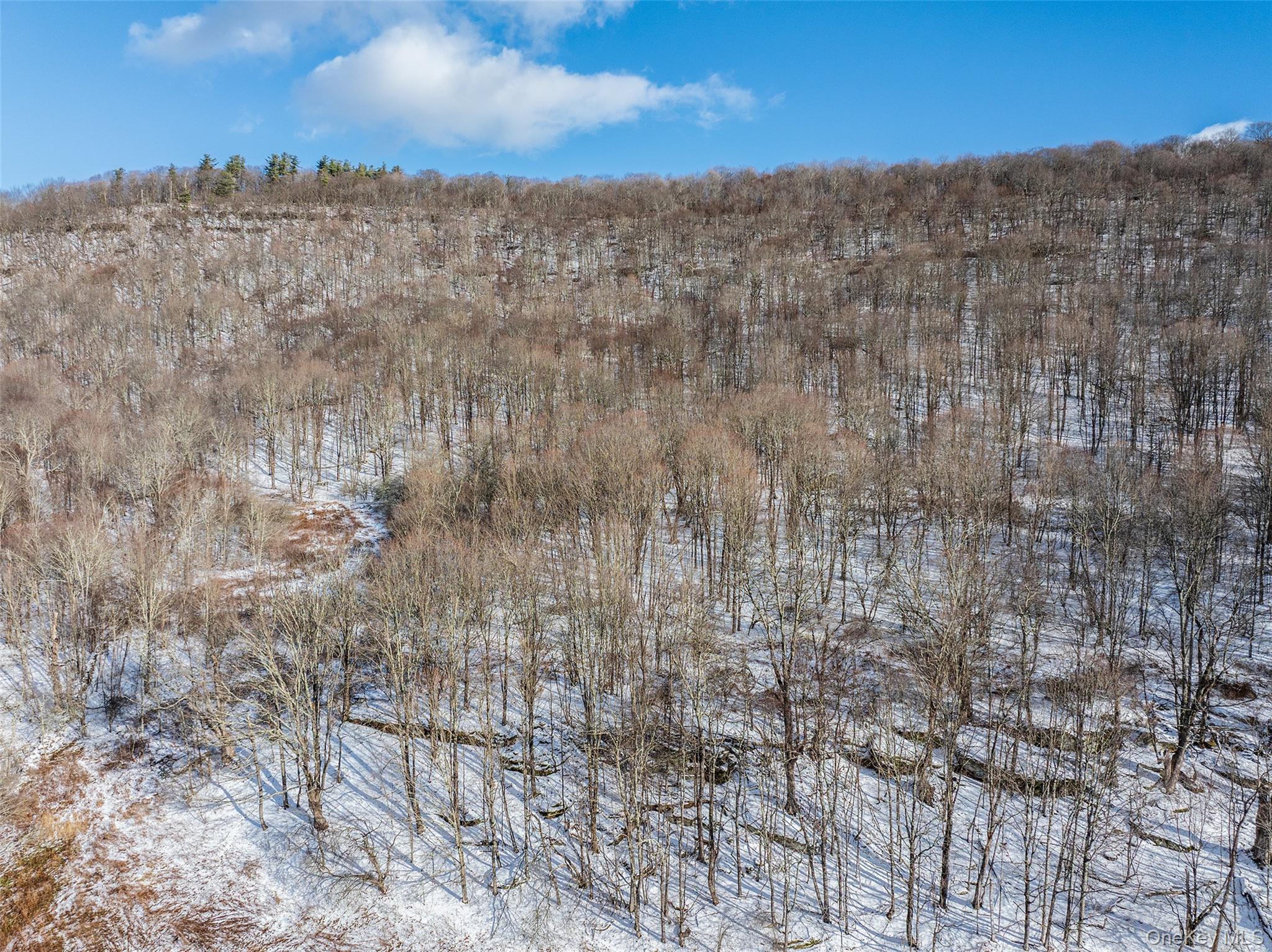 #4 photo, Betty Brook Road, Bloomville , NY 13842