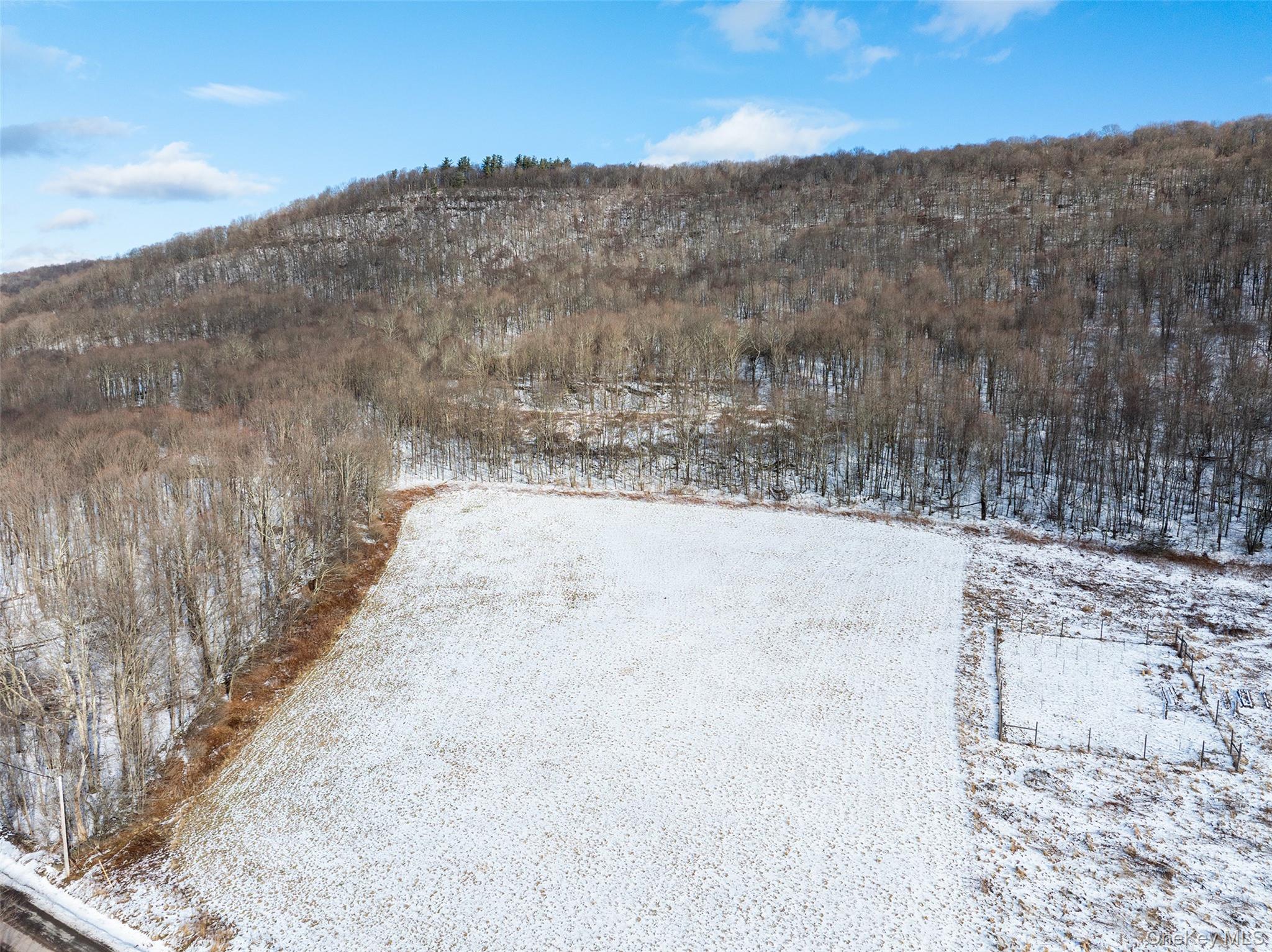 #5 photo, Betty Brook Road, Bloomville , NY 13842