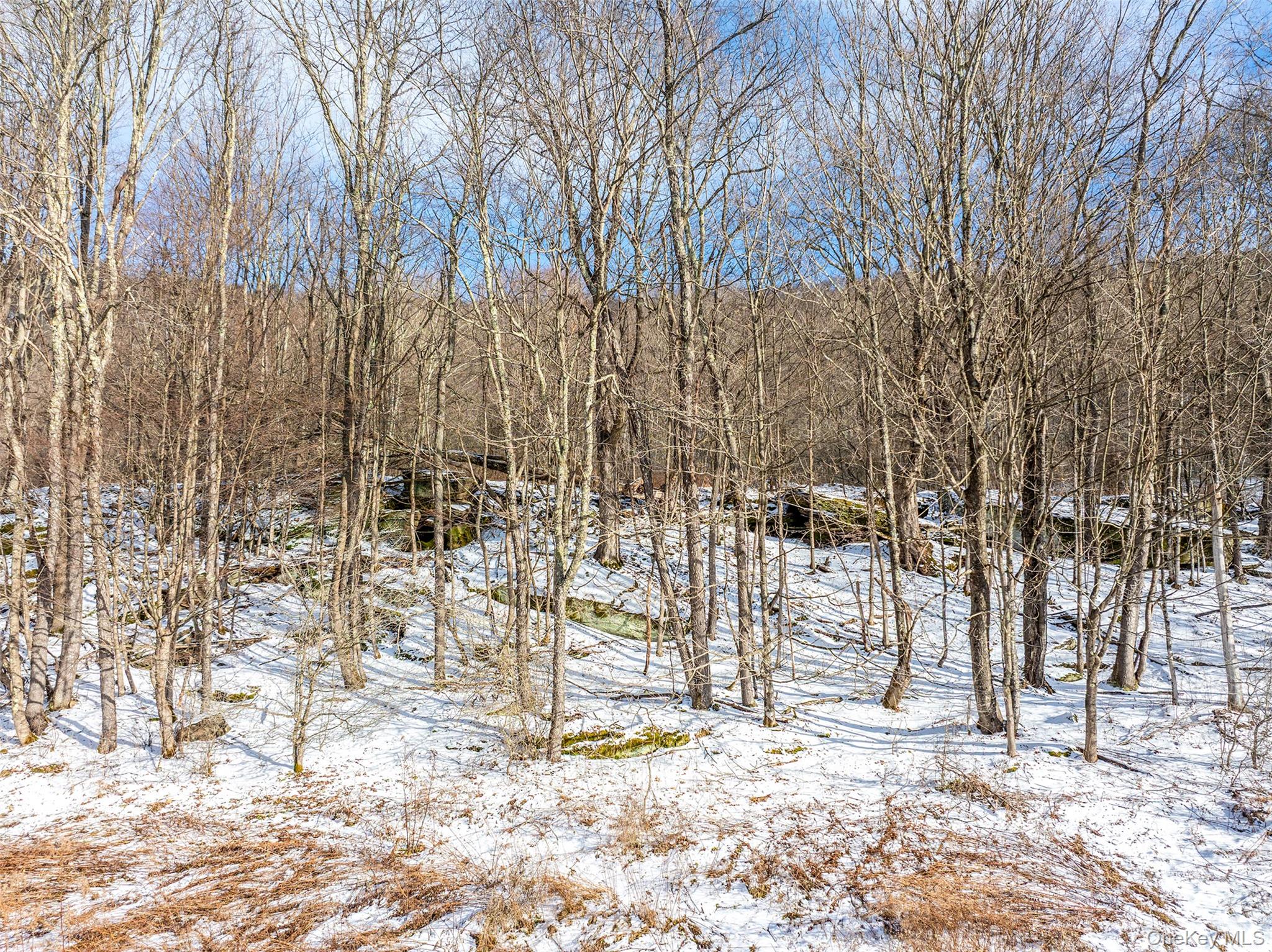 #6 photo, Betty Brook Road, Bloomville , NY 13842