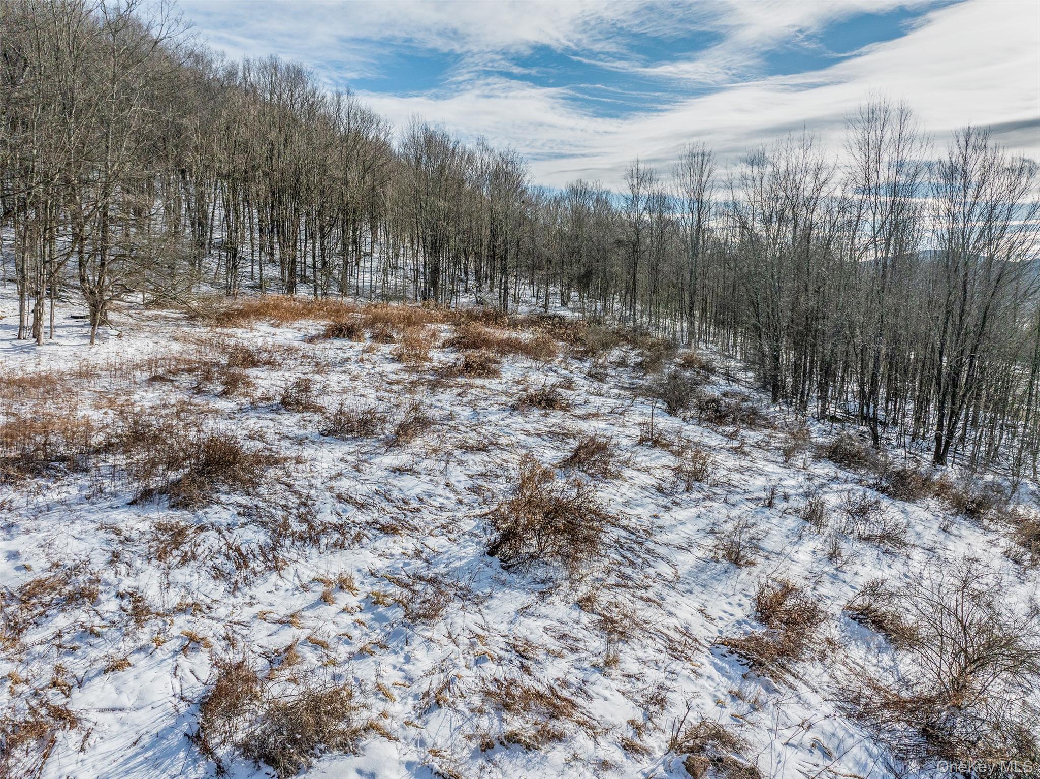 #7 photo, Betty Brook Road, Bloomville , NY 13842