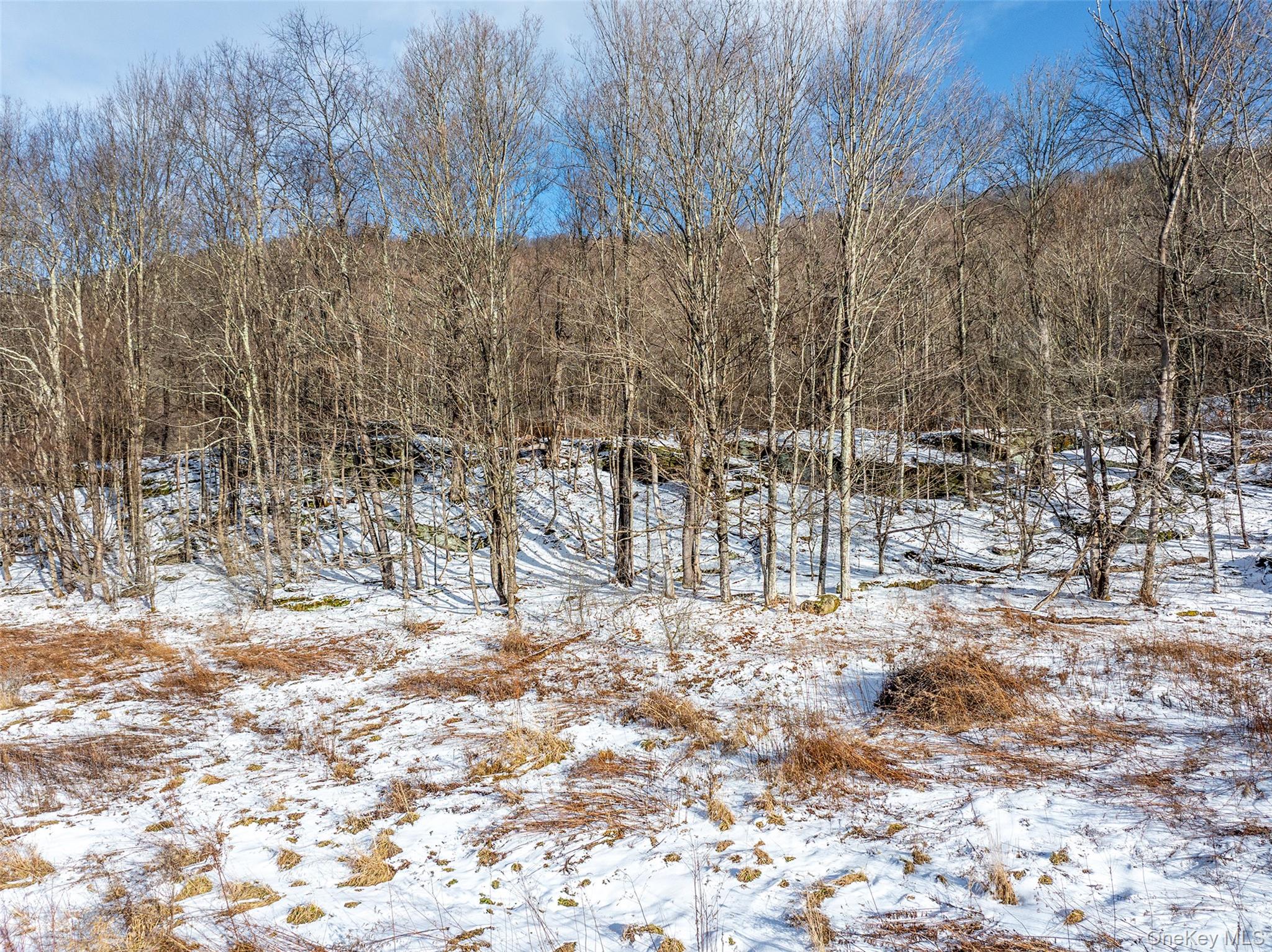 #8 photo, Betty Brook Road, Bloomville , NY 13842