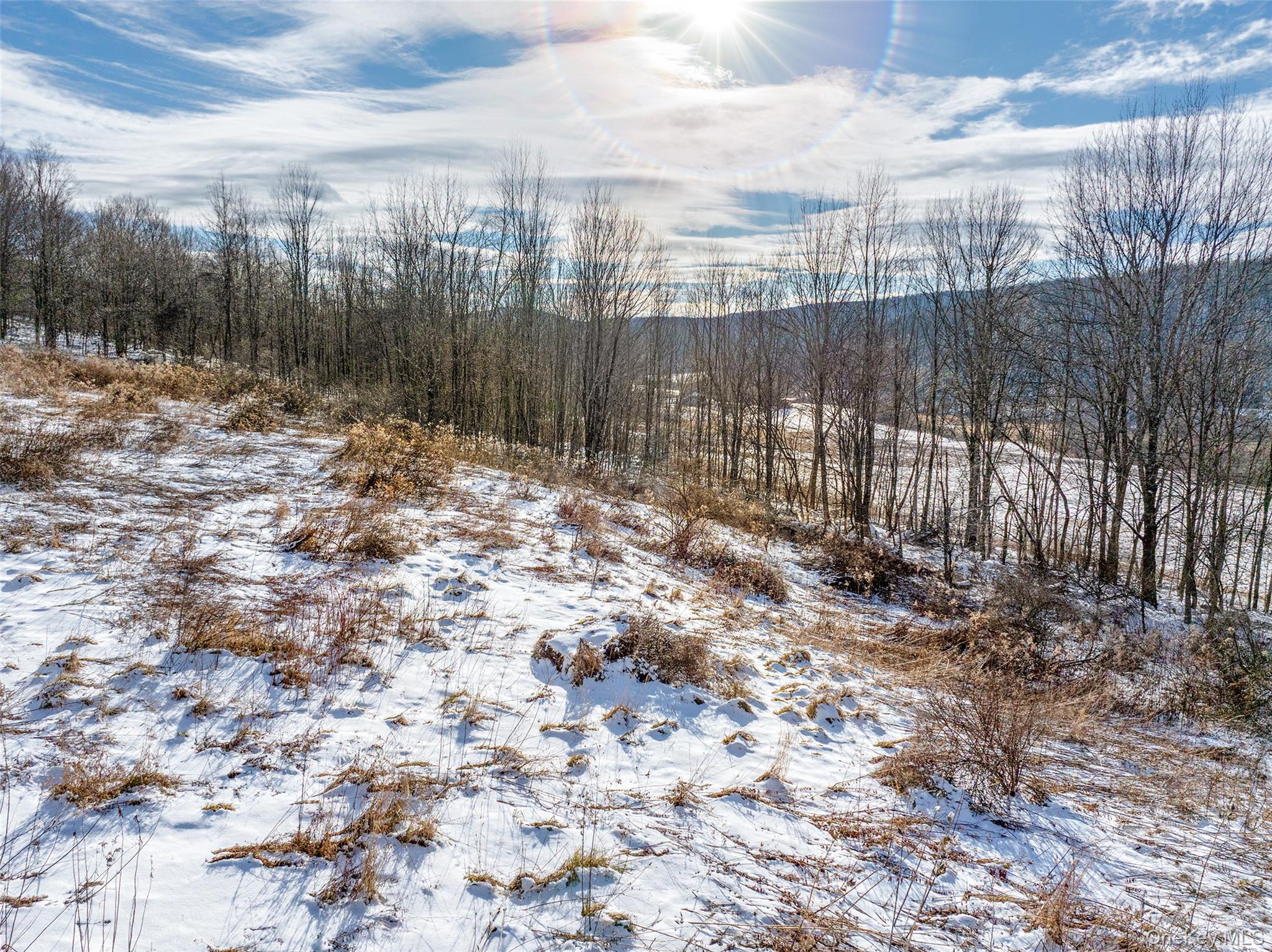 #9 photo, Betty Brook Road, Bloomville , NY 13842