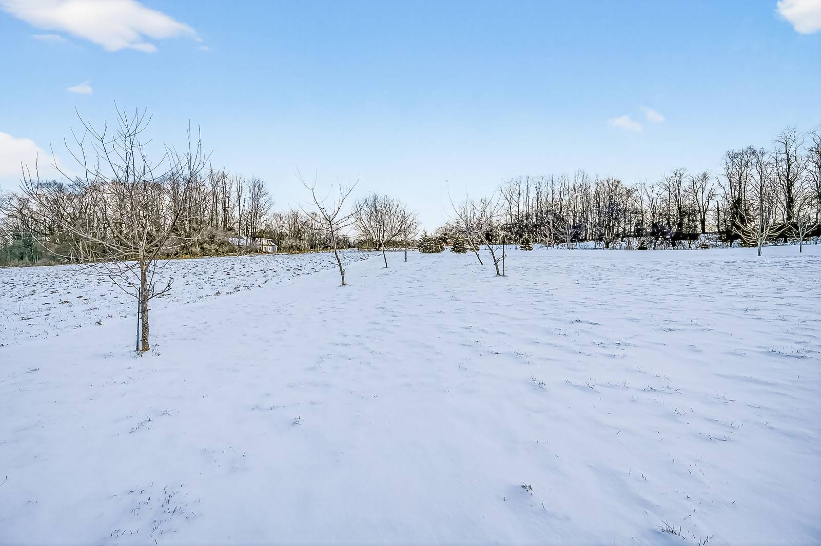 #78 photo, 6133  Tanner Rd, Augusta , NY 13425