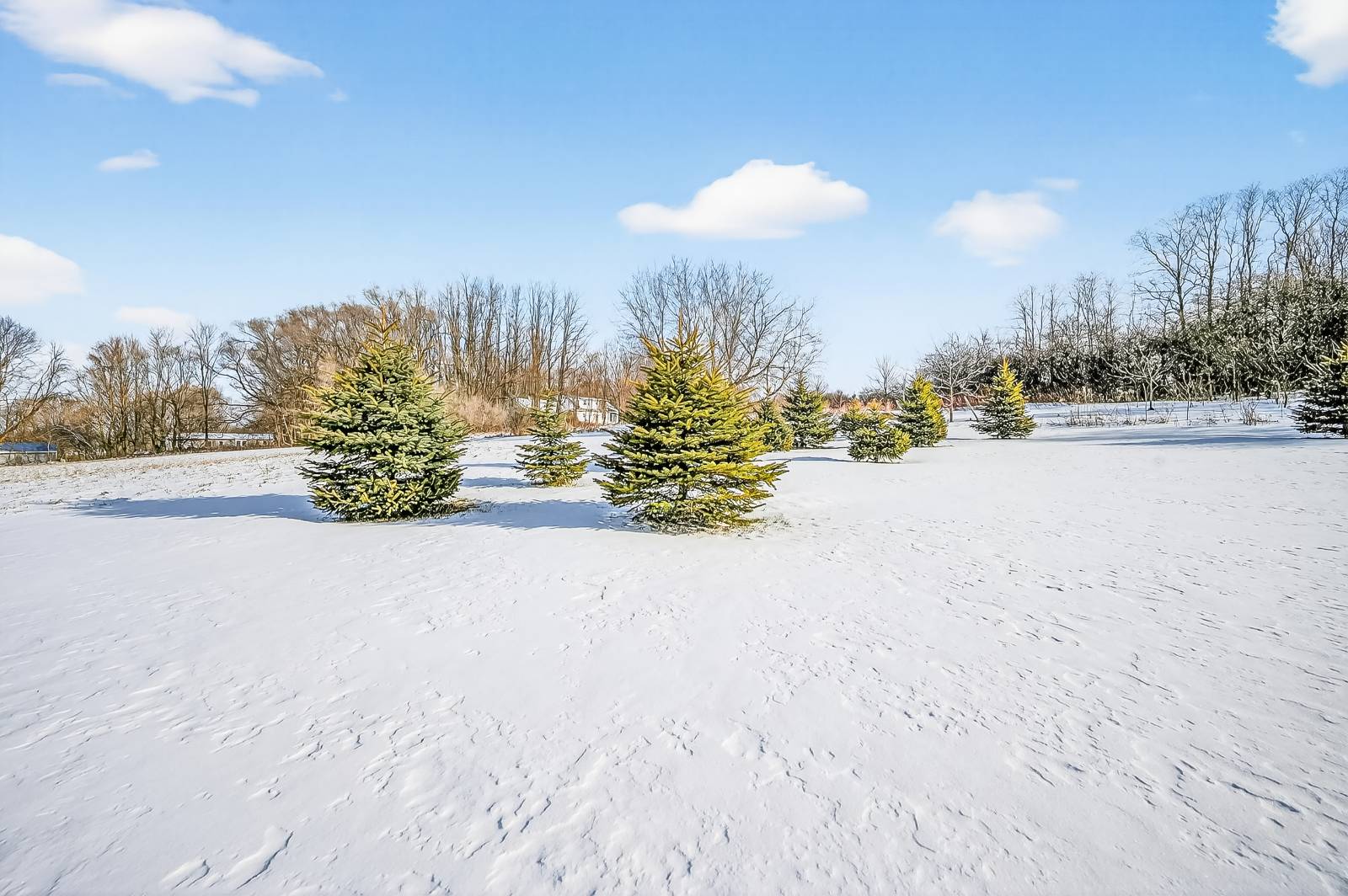 #79 photo, 6133  Tanner Rd, Augusta , NY 13425