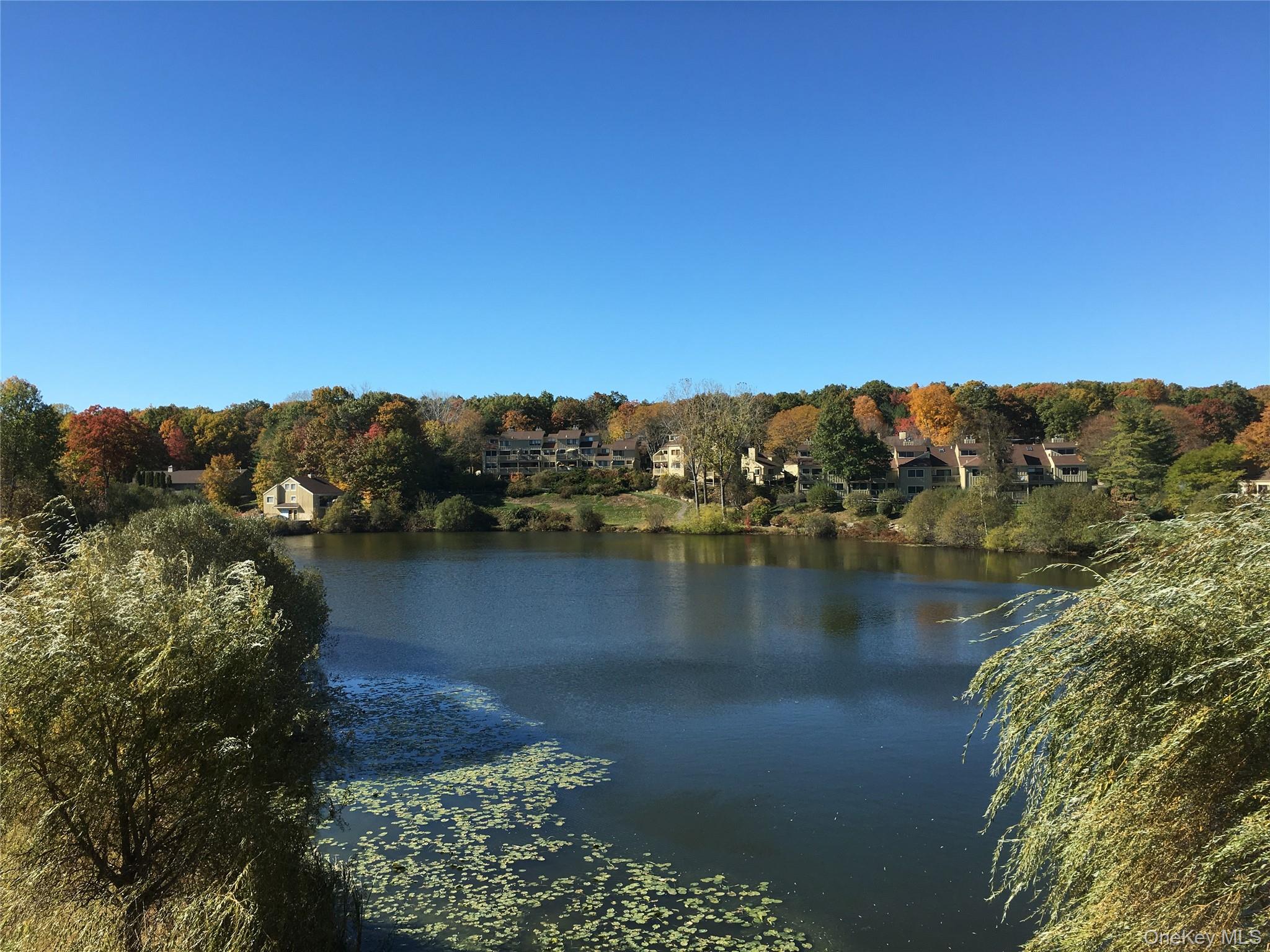 #1 photo, 905 Oakridge Common, South Salem , NY 10590