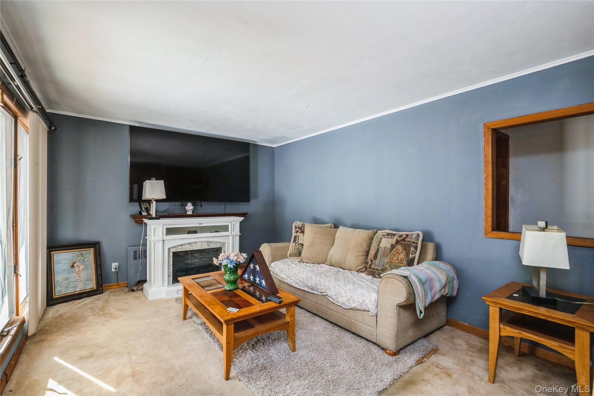 #5 photo, 5 Scherer Street, Bethpage , NY 11714