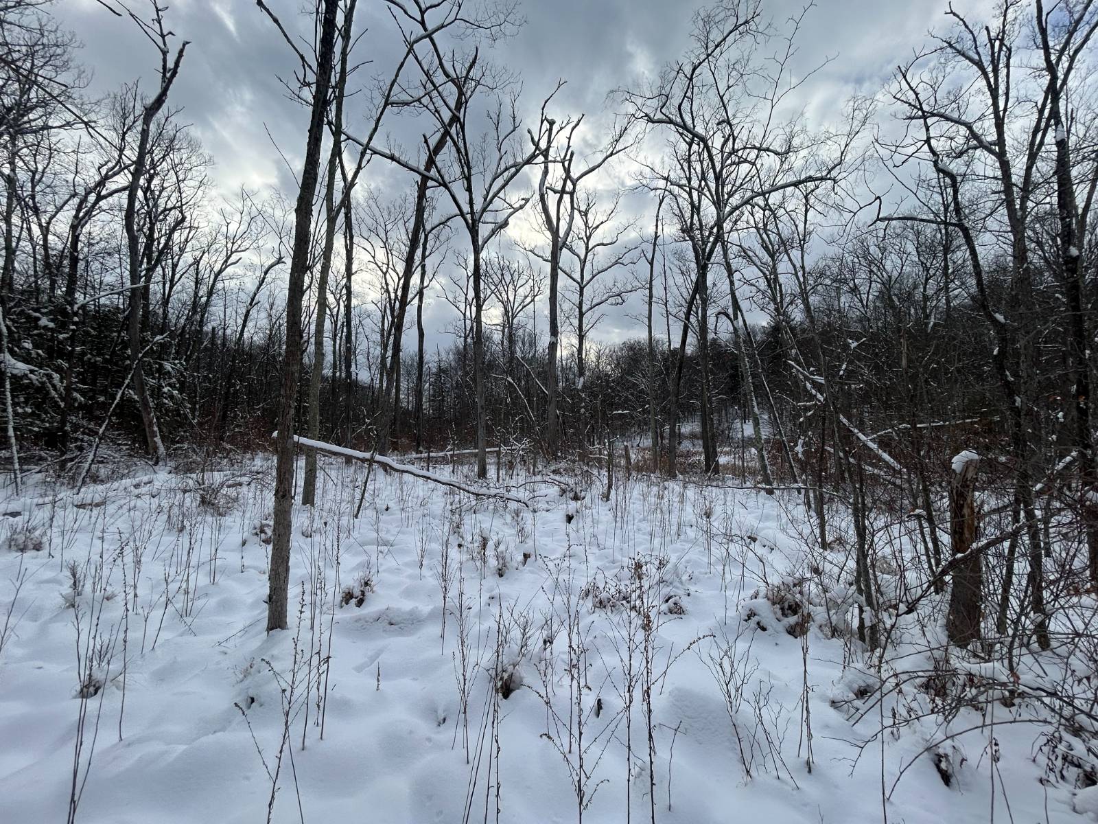 #10 photo, L16 Route 52, Pine Bush , NY 12566