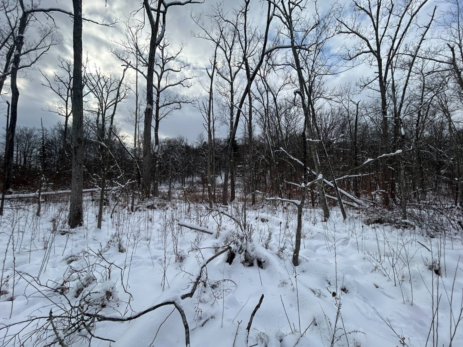 #11 photo, L16 Route 52, Pine Bush , NY 12566