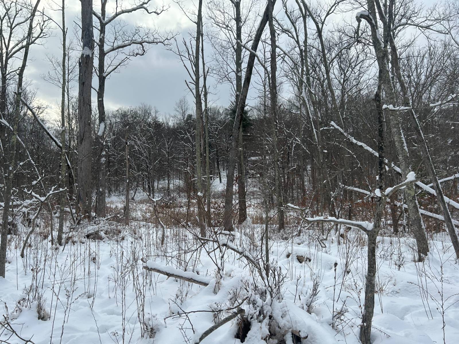 #12 photo, L16 Route 52, Pine Bush , NY 12566