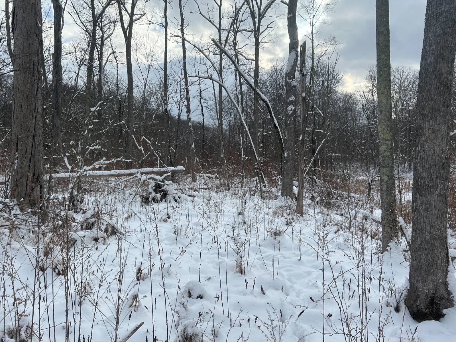 #13 photo, L16 Route 52, Pine Bush , NY 12566