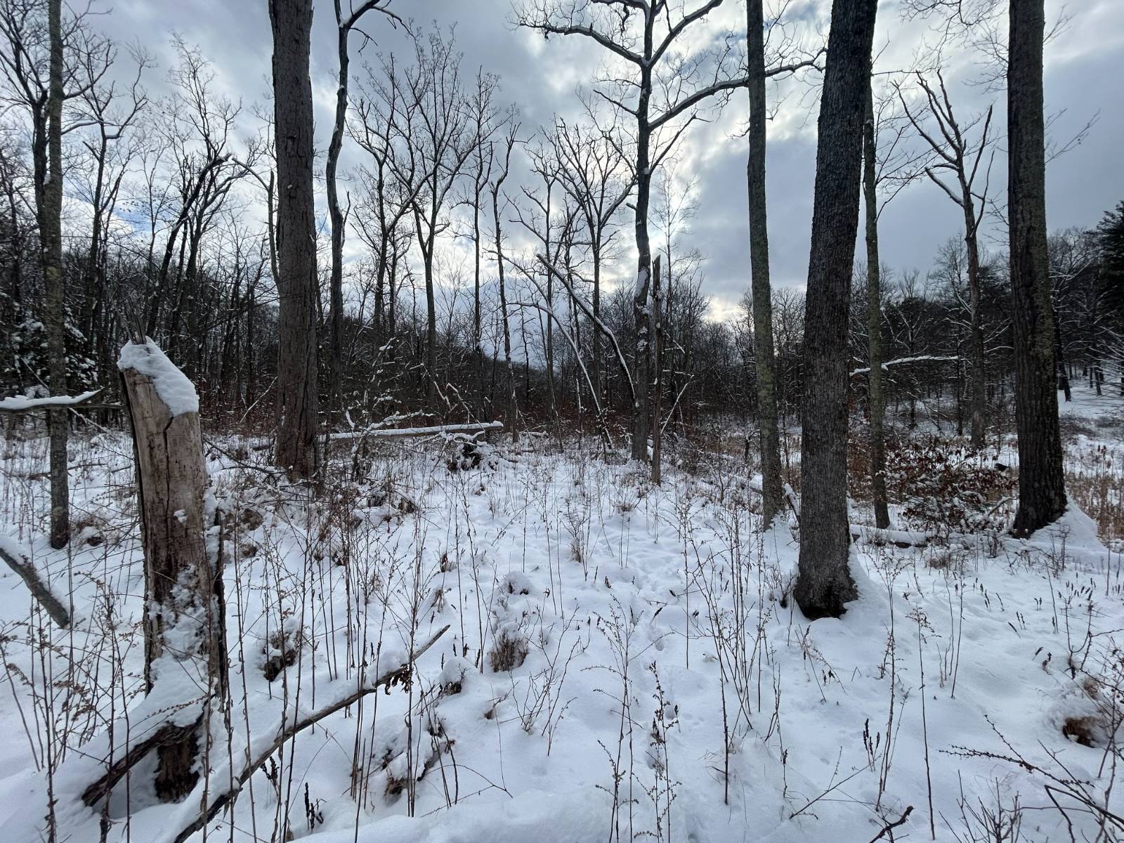 #14 photo, L16 Route 52, Pine Bush , NY 12566