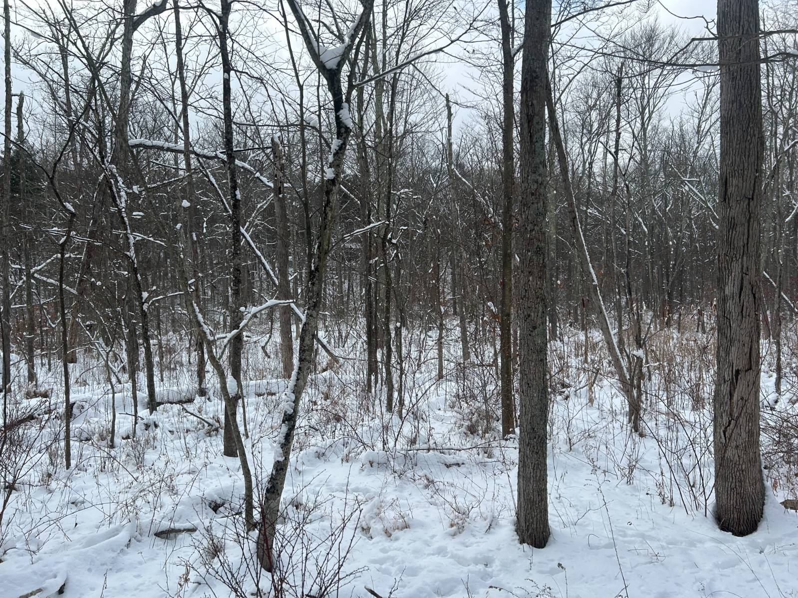 #4 photo, L16 Route 52, Pine Bush , NY 12566