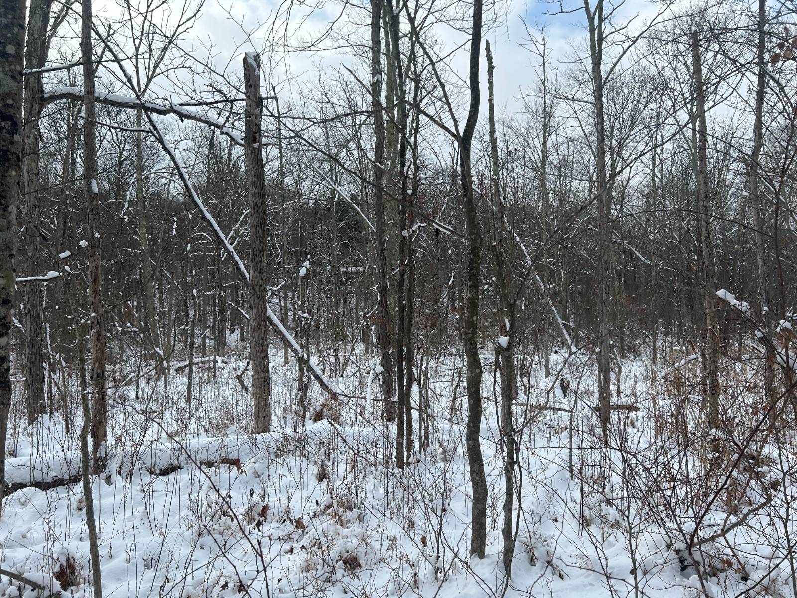 #5 photo, L16 Route 52, Pine Bush , NY 12566