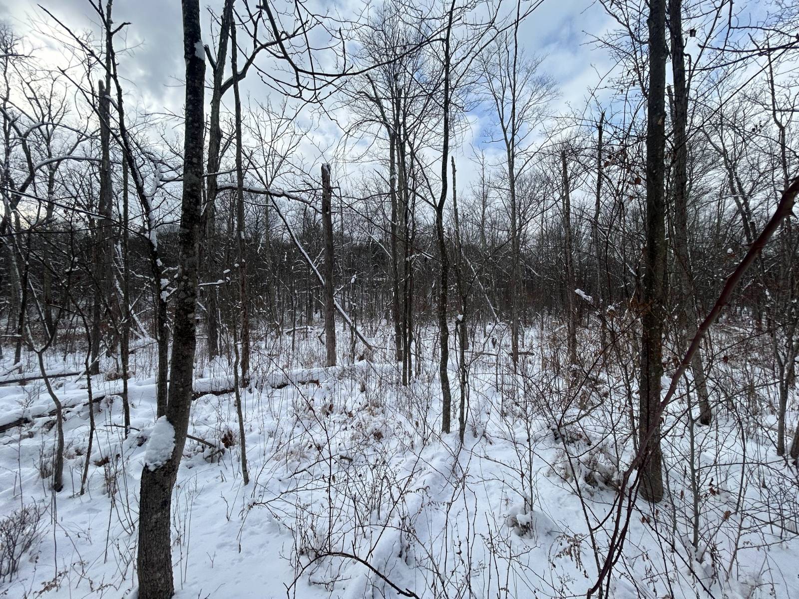 #6 photo, L16 Route 52, Pine Bush , NY 12566