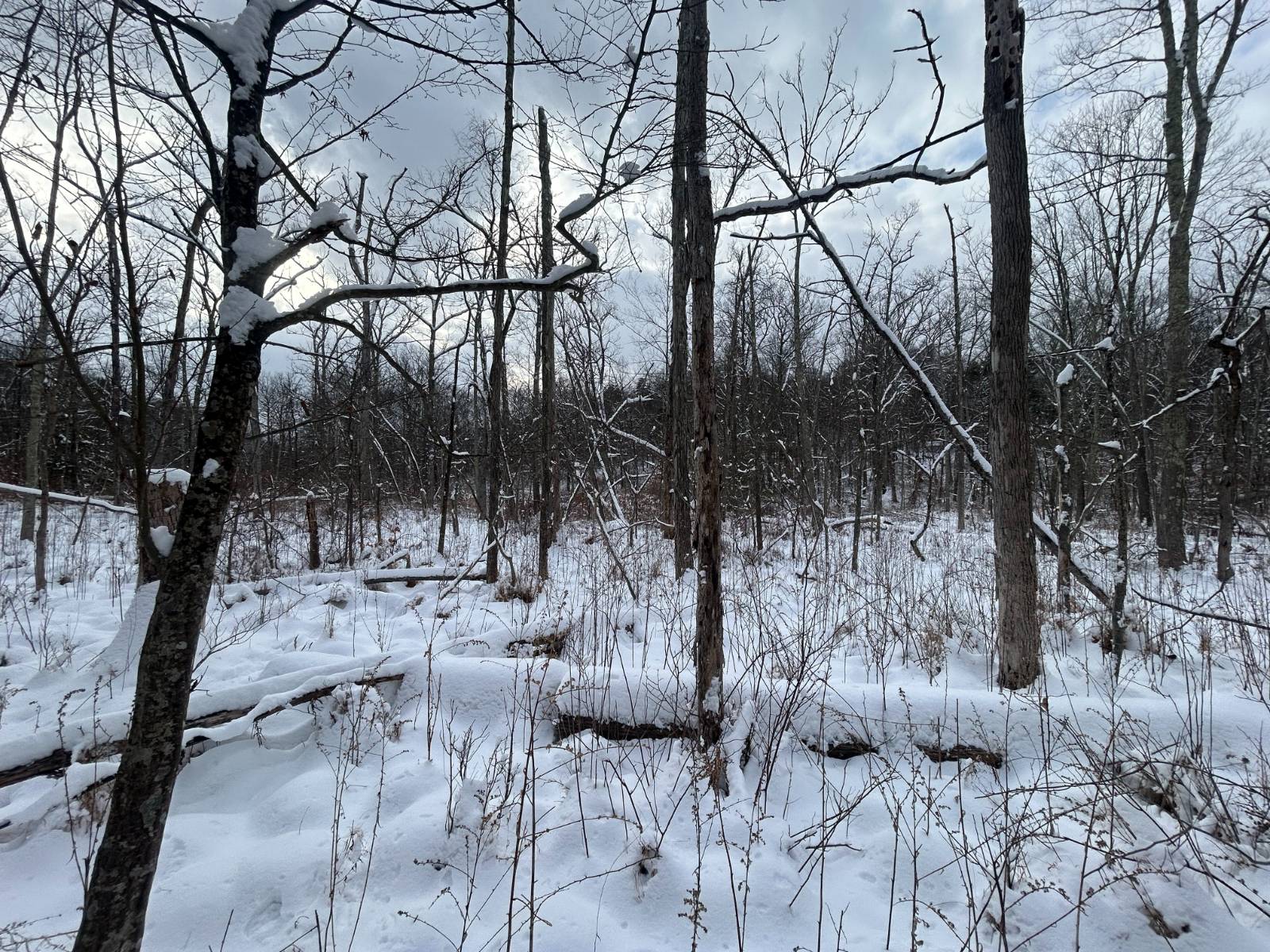 #7 photo, L16 Route 52, Pine Bush , NY 12566