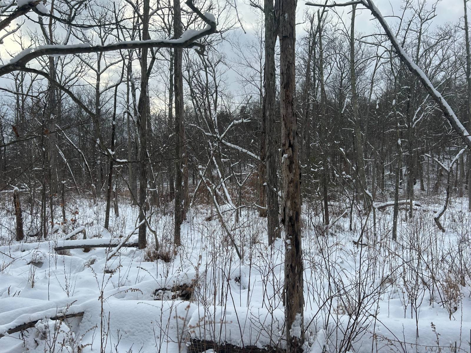 #8 photo, L16 Route 52, Pine Bush , NY 12566