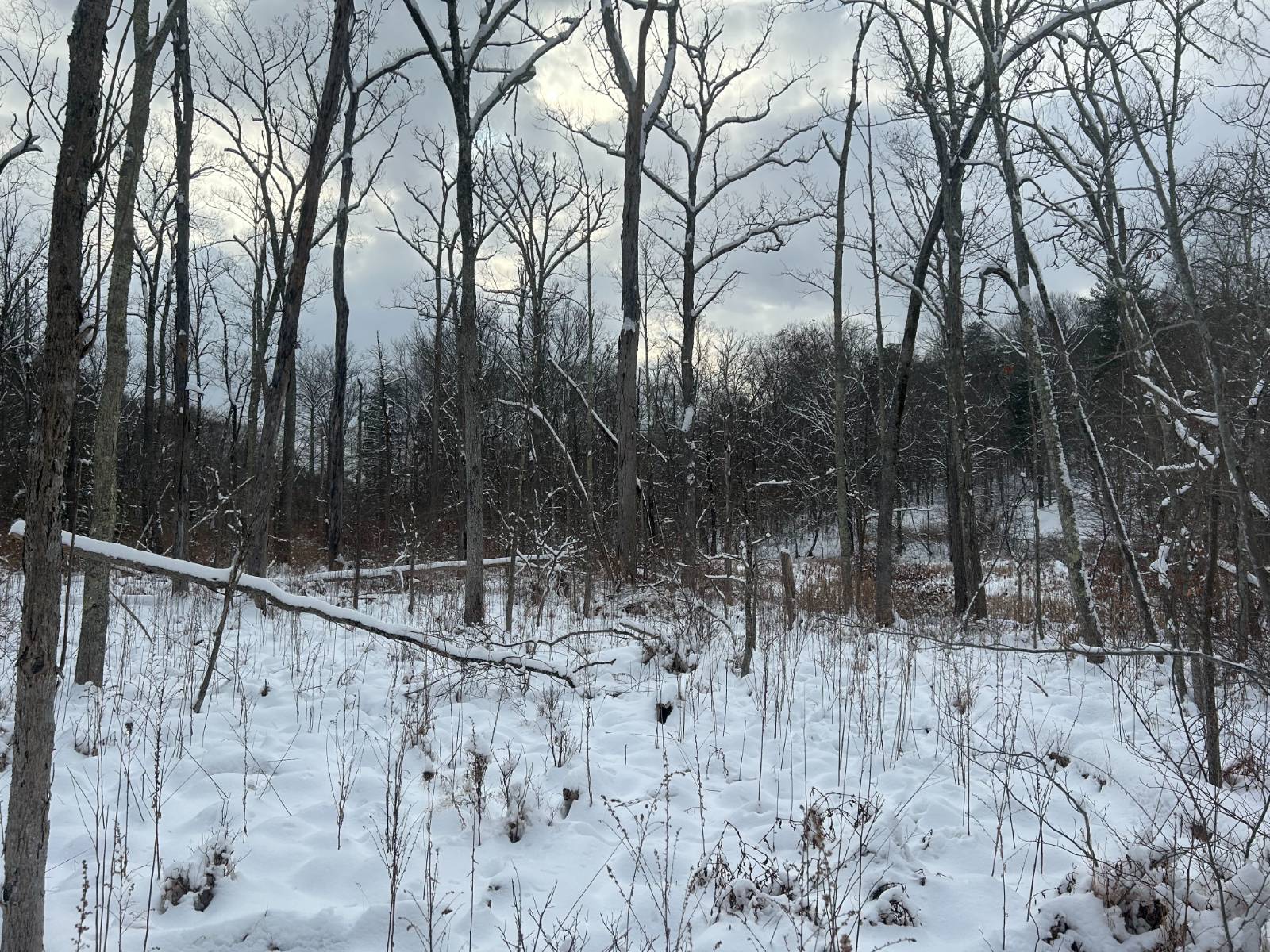 #9 photo, L16 Route 52, Pine Bush , NY 12566