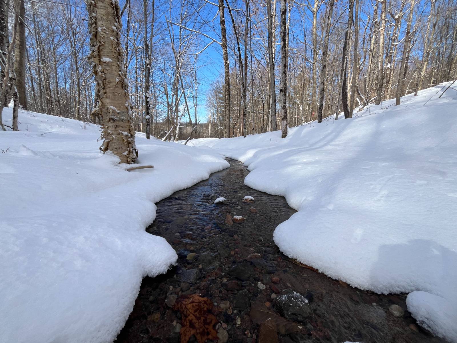 #10 photo, 00 Lafaver Rd, #3, Hermon , NY 13652