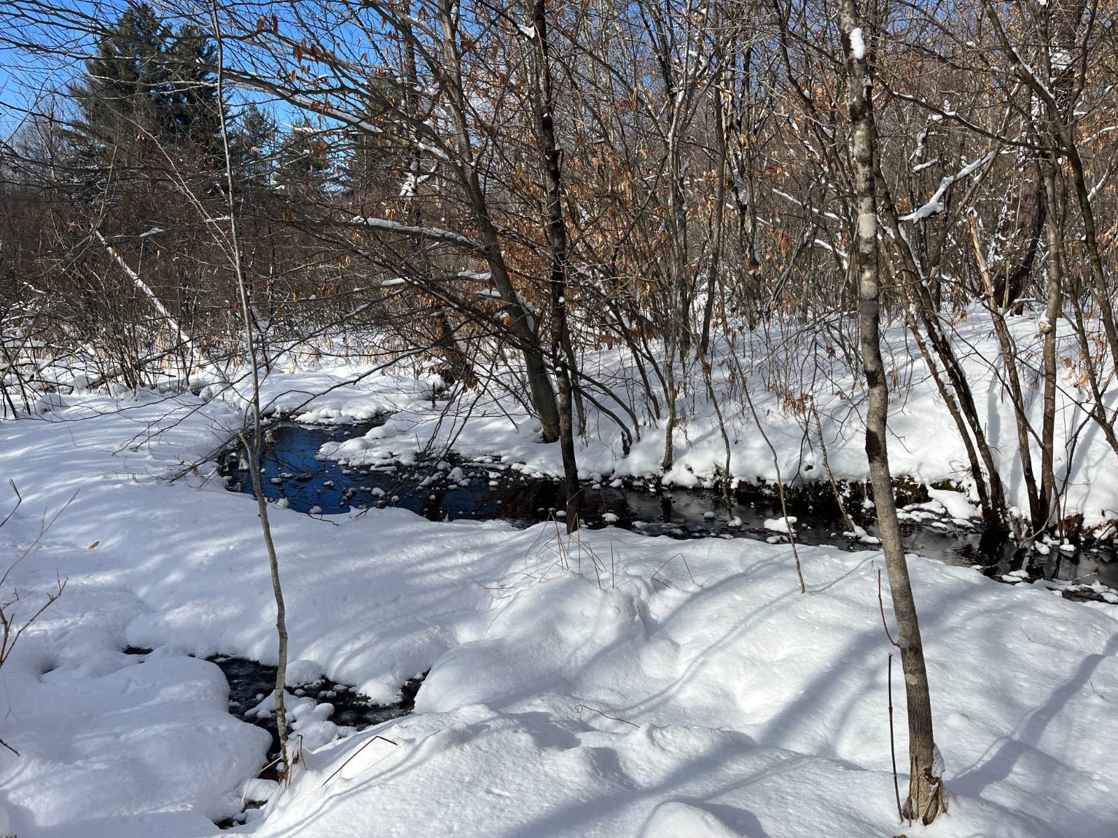 #11 photo, 00 Lafaver Rd, #3, Hermon , NY 13652