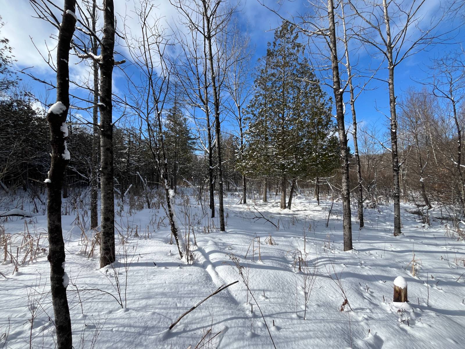 #14 photo, 00 Lafaver Rd, #3, Hermon , NY 13652