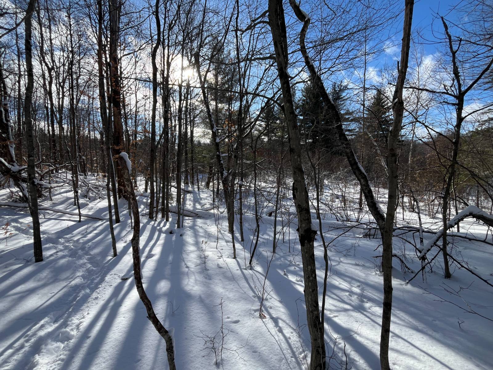 #15 photo, 00 Lafaver Rd, #3, Hermon , NY 13652