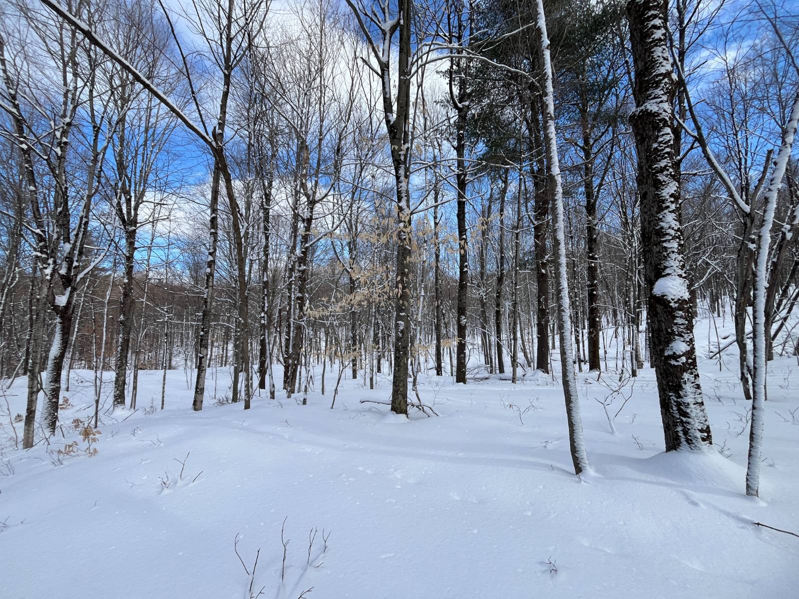 #2 photo, 00 Lafaver Rd, #3, Hermon , NY 13652