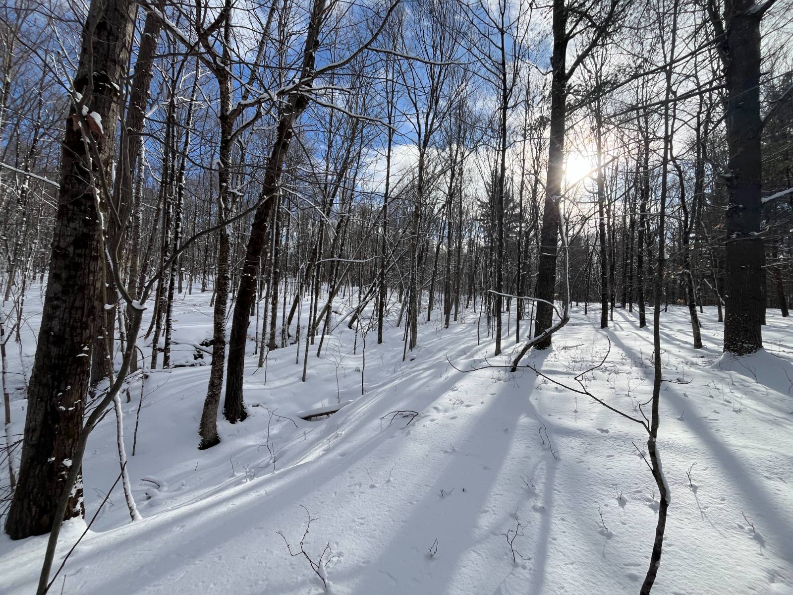 #3 photo, 00 Lafaver Rd, #3, Hermon , NY 13652