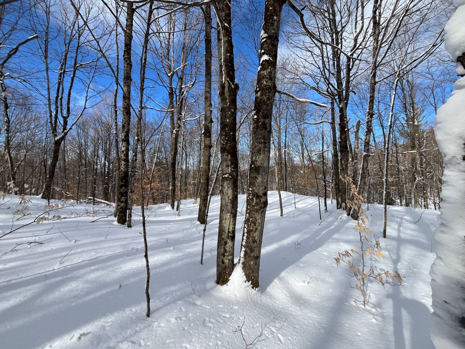 #6 photo, 00 Lafaver Rd, #3, Hermon , NY 13652