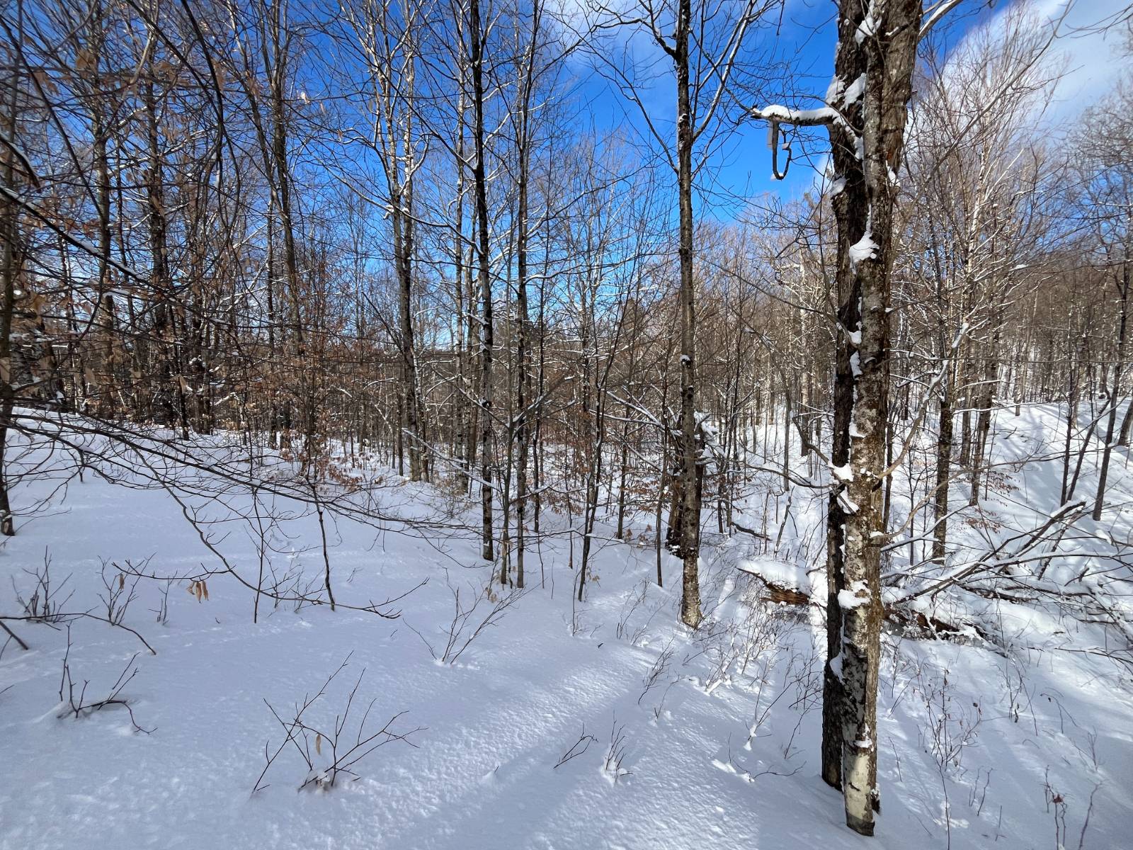 #8 photo, 00 Lafaver Rd, #3, Hermon , NY 13652