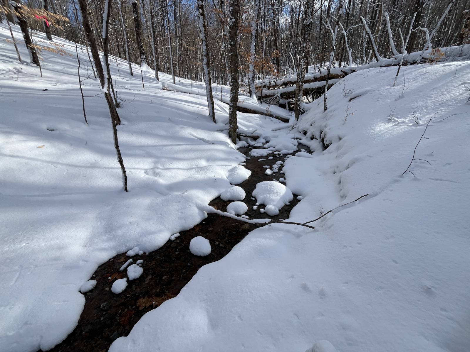 #9 photo, 00 Lafaver Rd, #3, Hermon , NY 13652