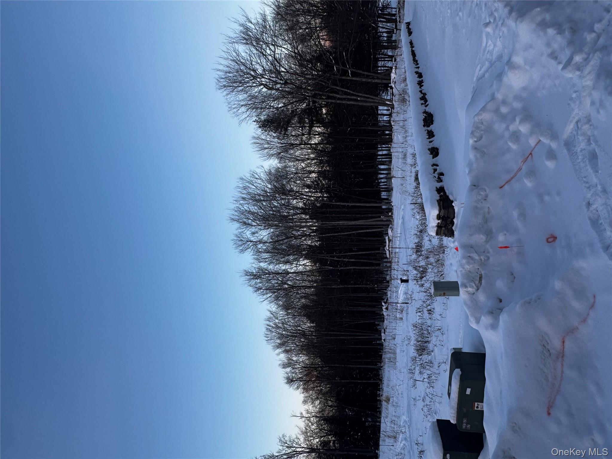 #4 photo, 000 Drake Road, Neversink , NY 12765