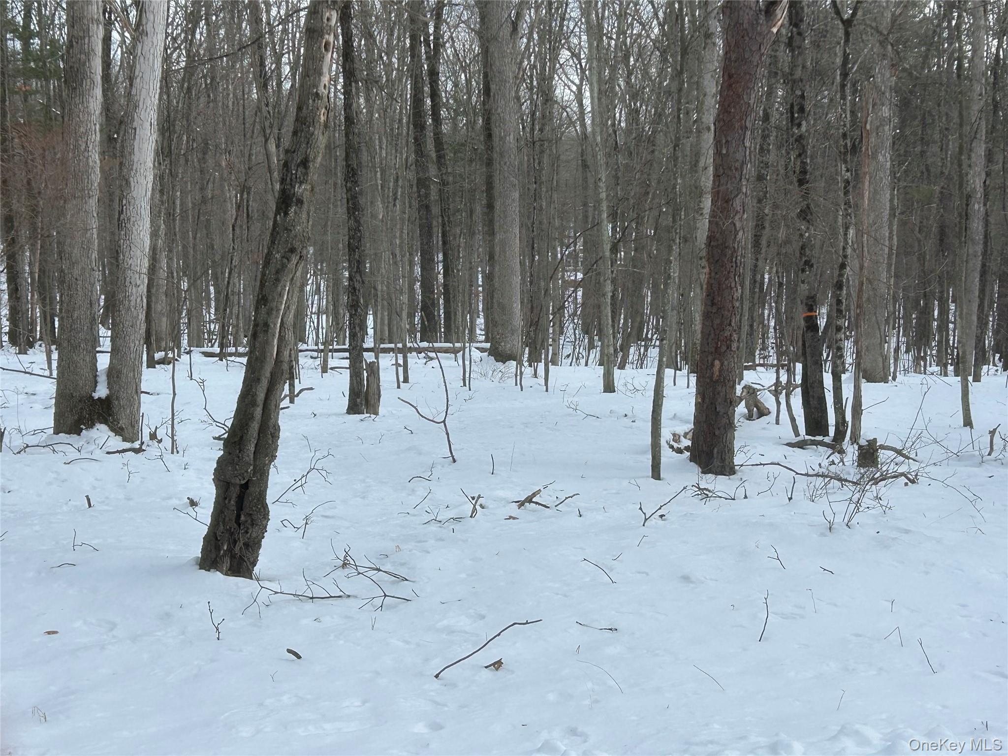 #1 photo, Purple Sage Drive, Barryville , NY 12719