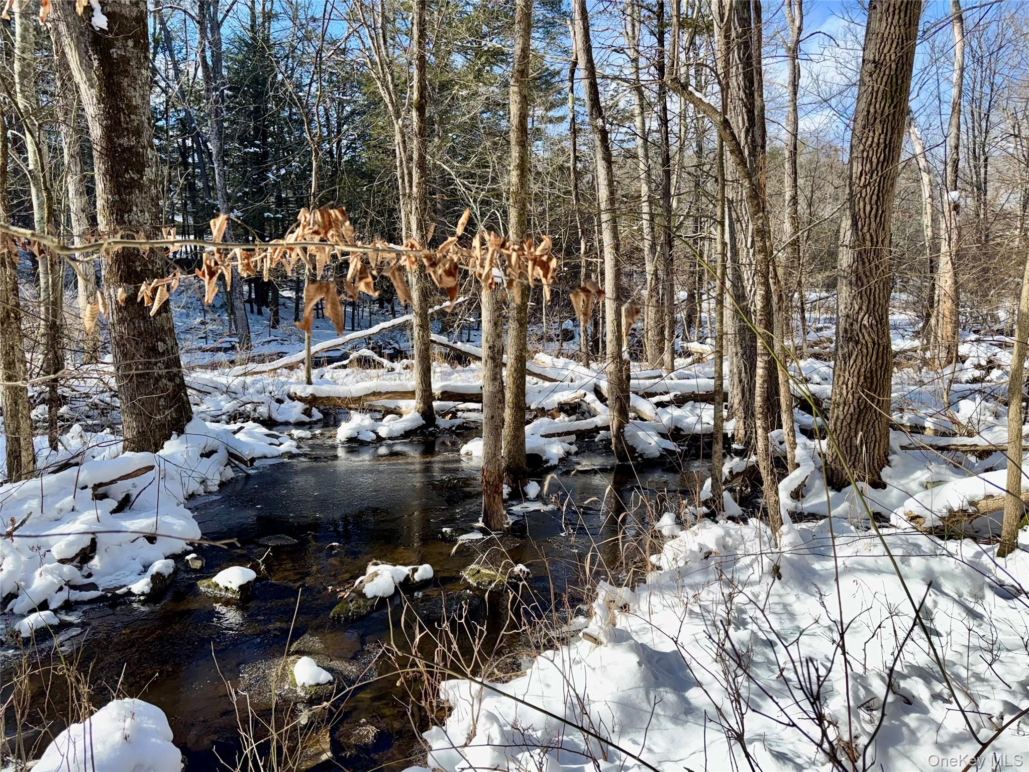 #5 photo, 40 Potic Creek Road, Call Listing Agent , NY 12051