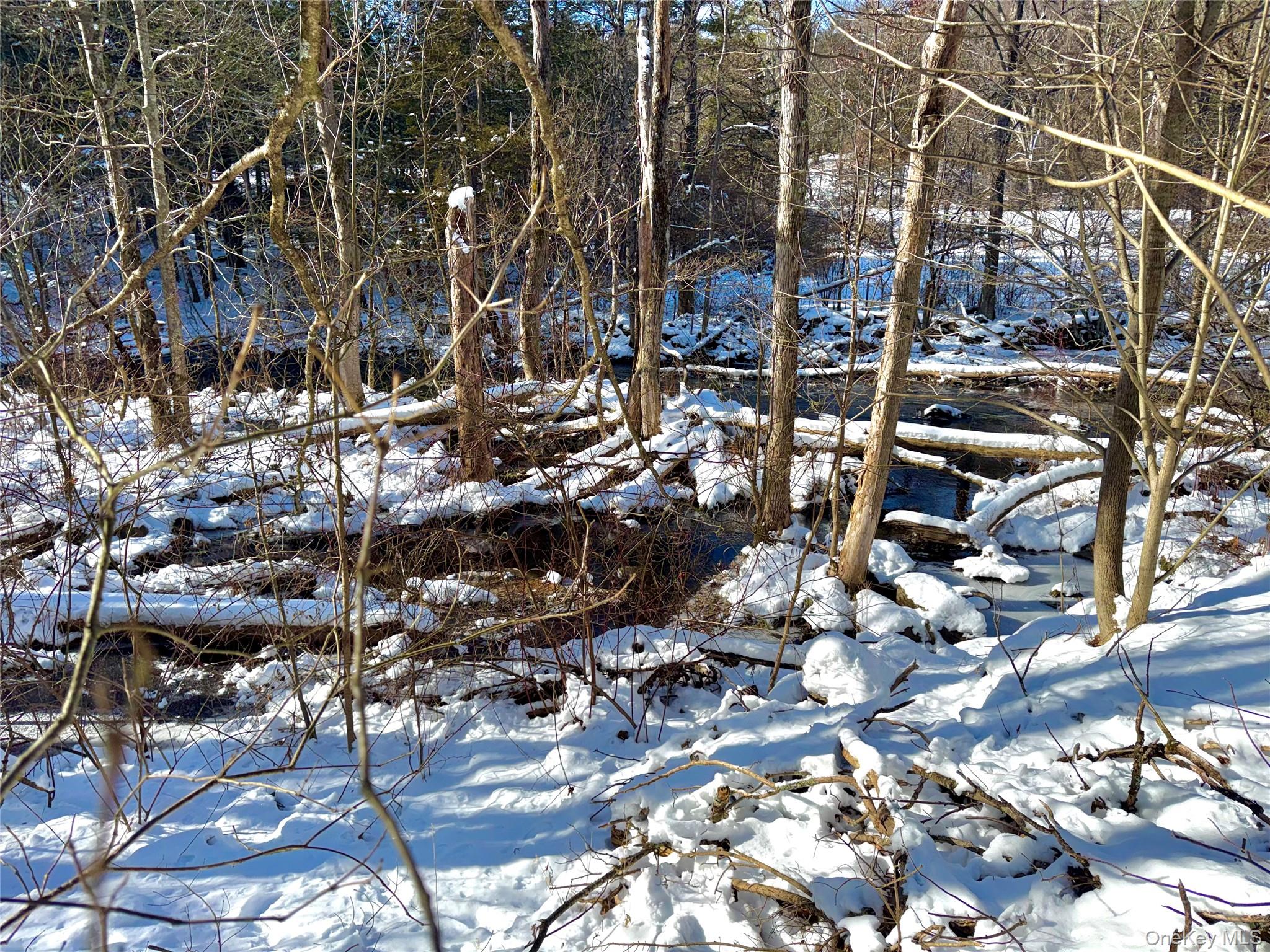 #6 photo, 40 Potic Creek Road, Call Listing Agent , NY 12051