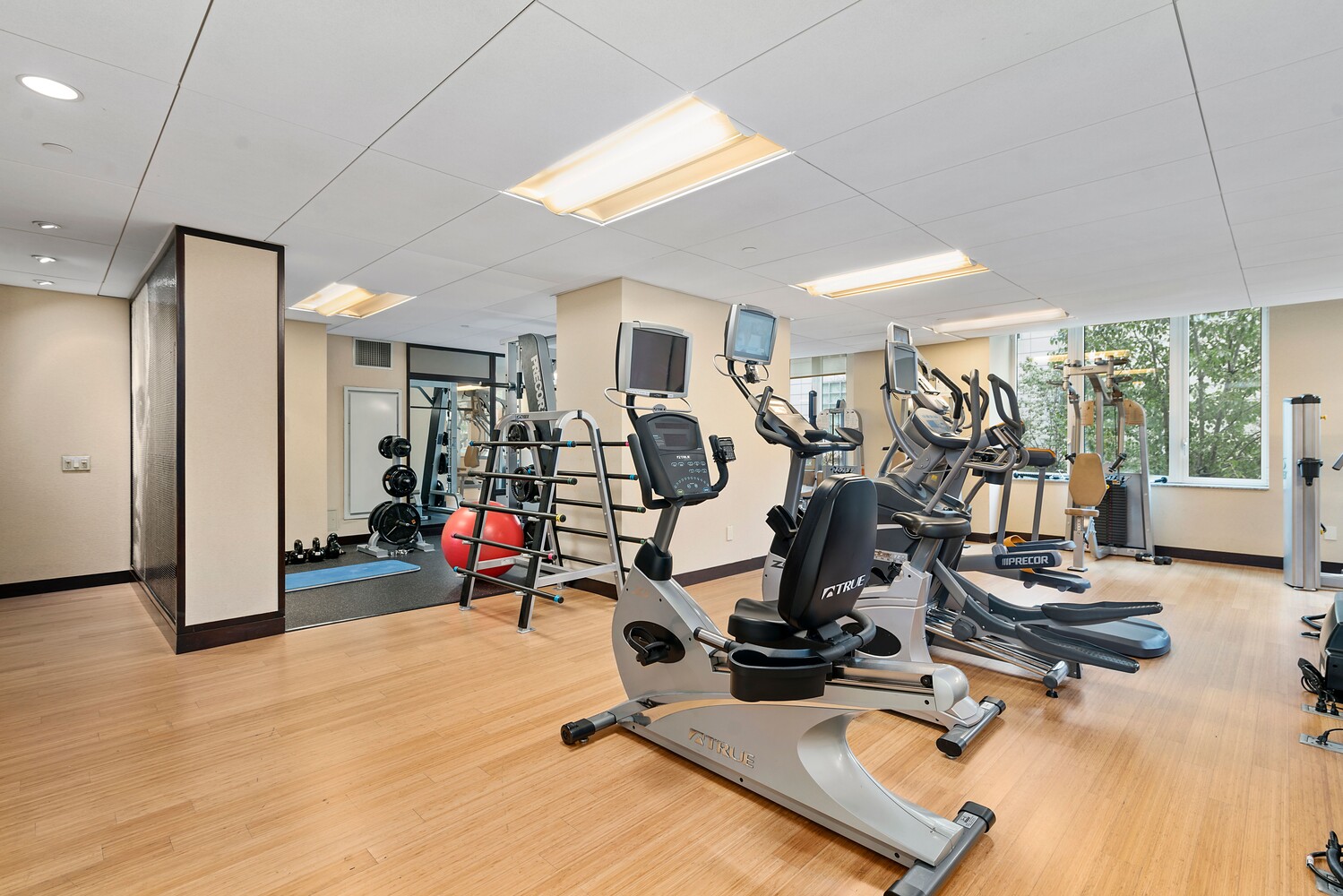 #10 photo, New York City, Turtle Bay , NY 10022