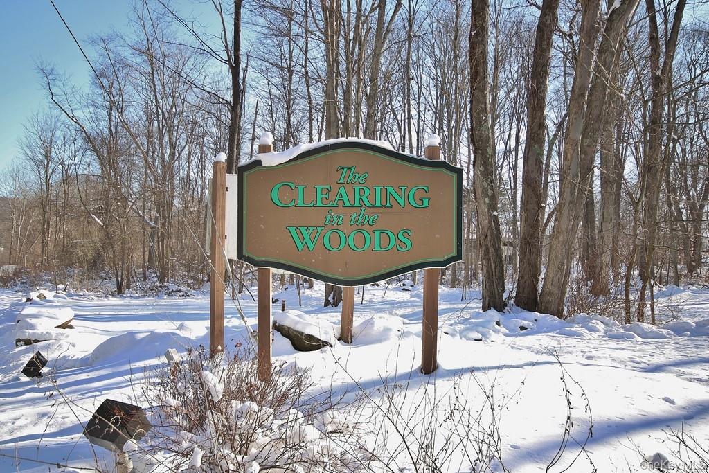 #1 photo, 108 Drew Lane, 纽约州 Carmel , NY 10512