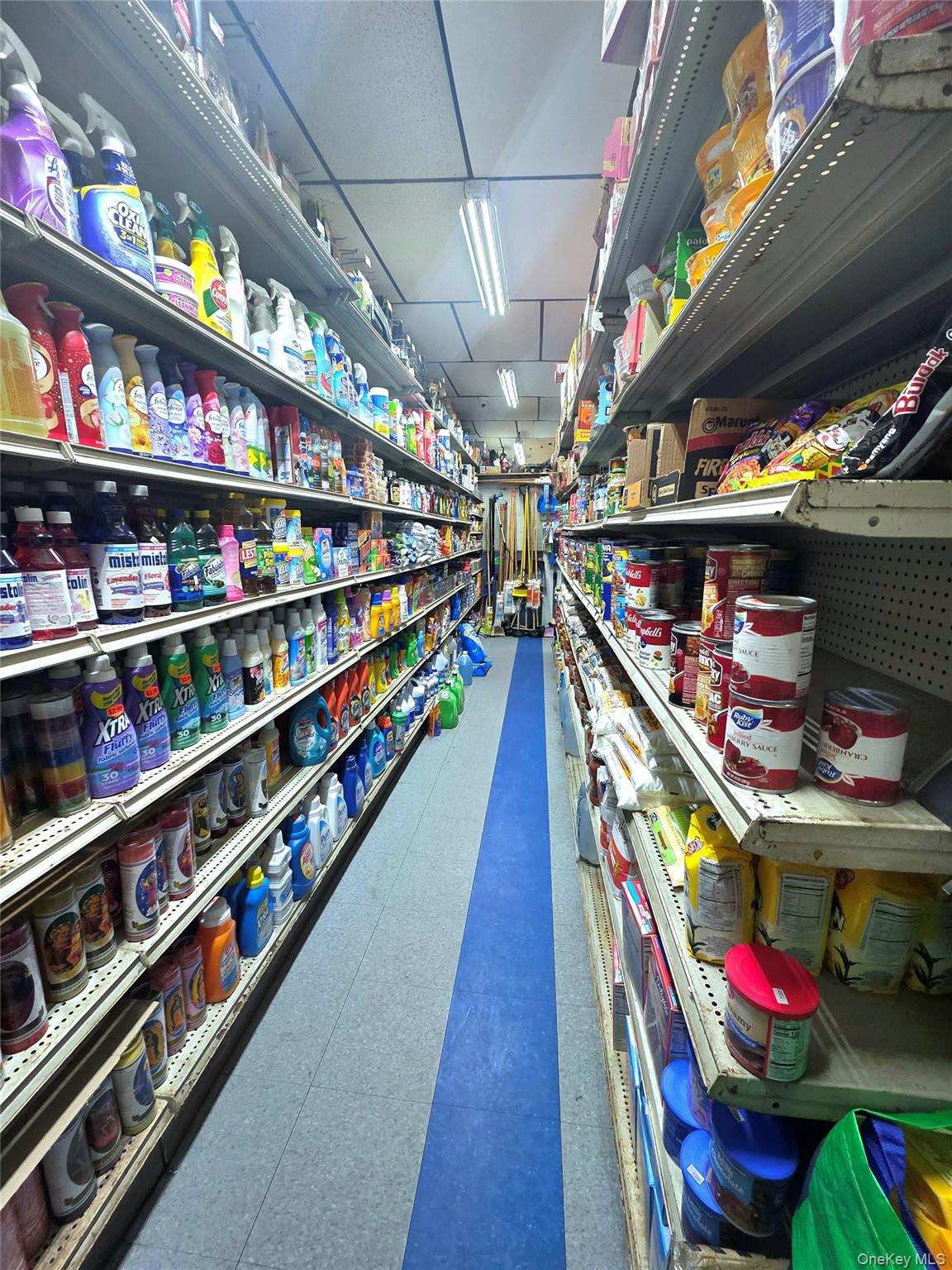 #5 photo, 333 Shepherd Avenue, Brooklyn , NY 11208