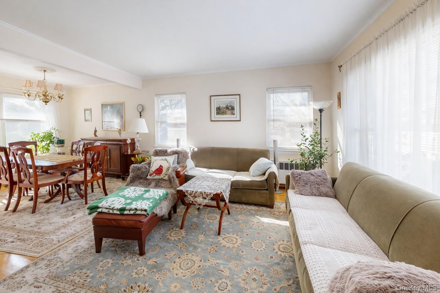 #5 photo, 1762 Broadway, New Hyde Park , NY 11040