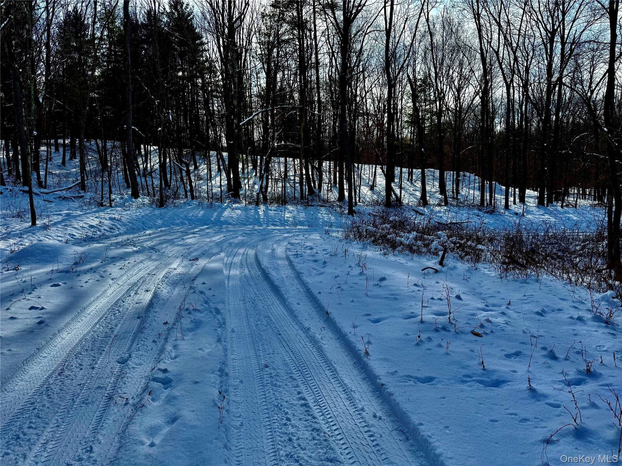 #10 photo, 266 Pitts Road, Chatham , NY 12136