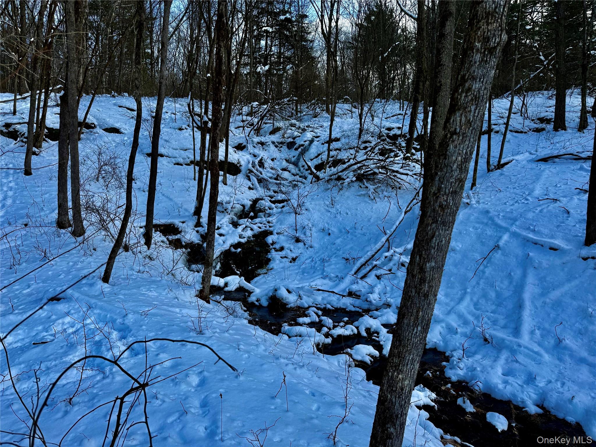 #11 photo, 266 Pitts Road, Chatham , NY 12136