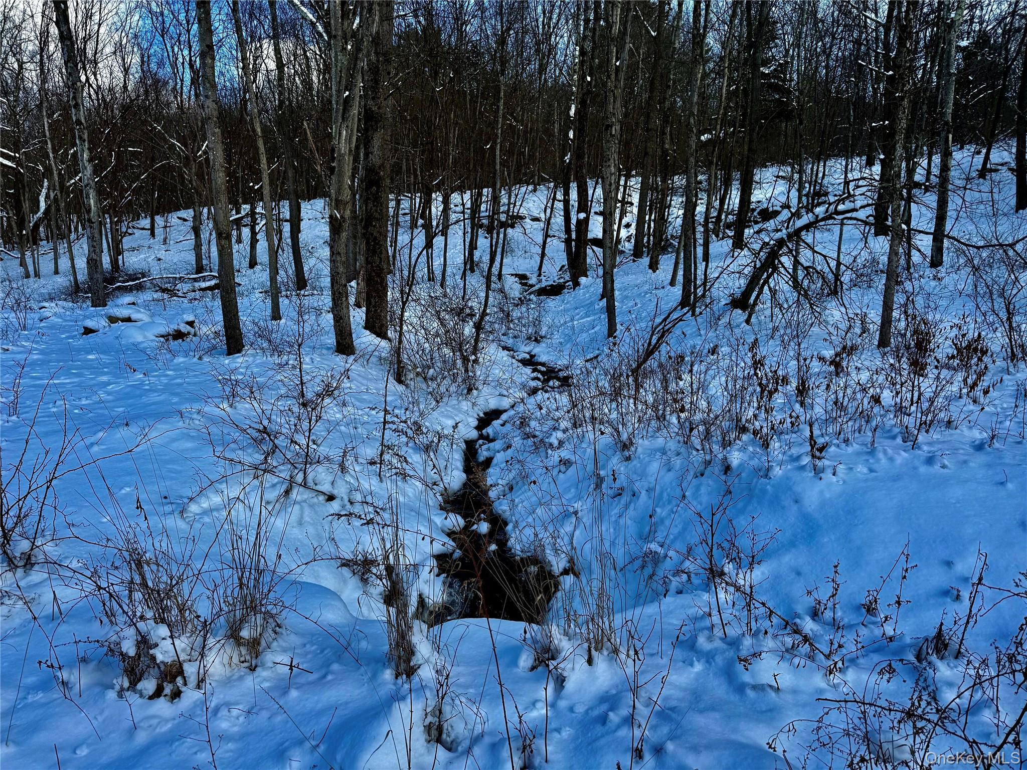 #12 photo, 266 Pitts Road, Chatham , NY 12136