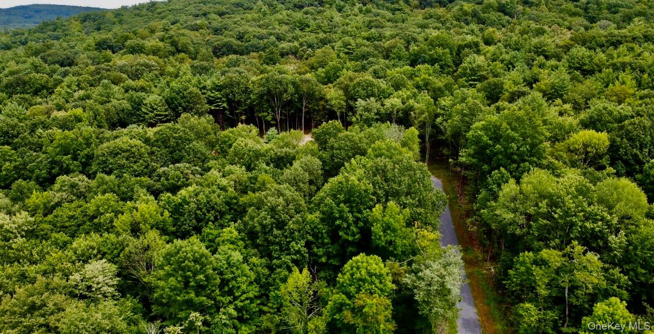 #14 photo, 266 Pitts Road, Chatham , NY 12136