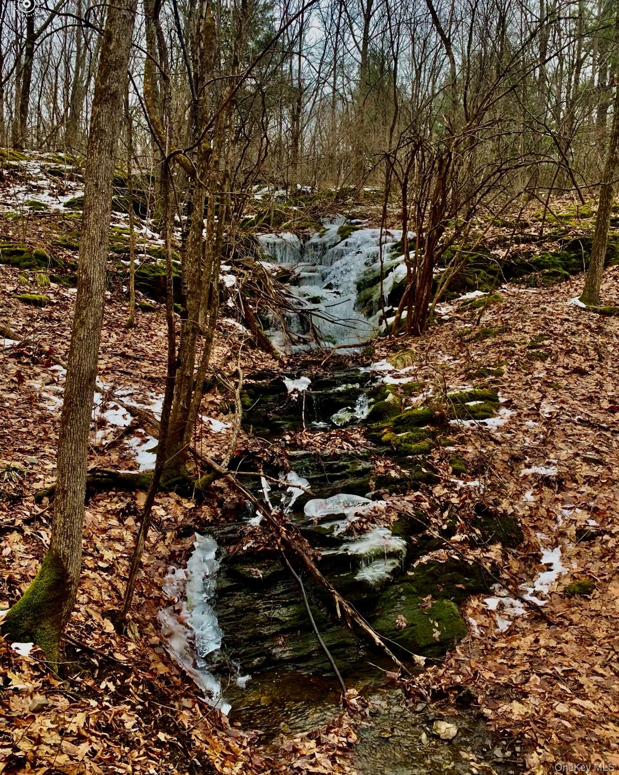 #16 photo, 266 Pitts Road, Chatham , NY 12136