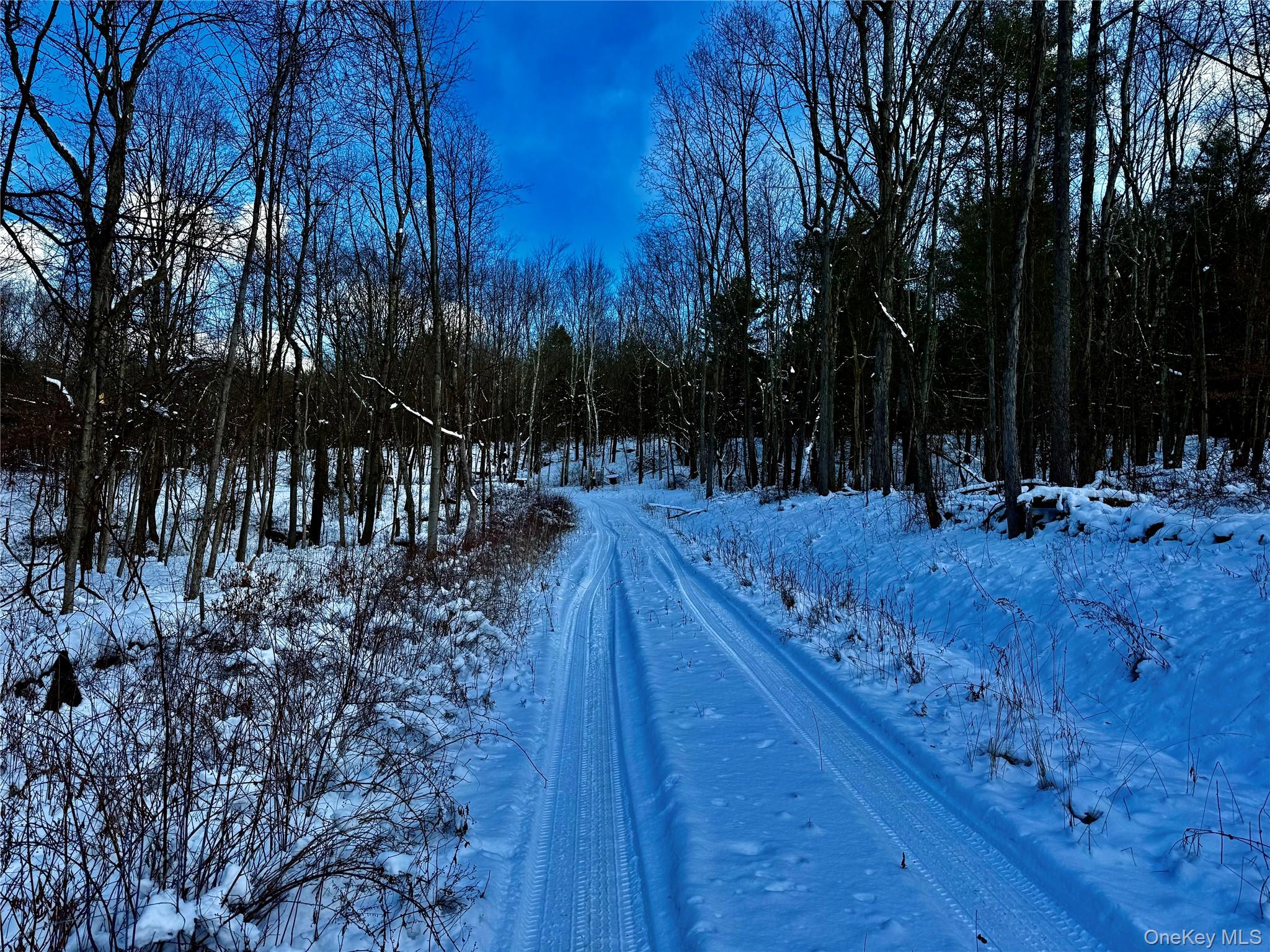 #2 photo, 266 Pitts Road, Chatham , NY 12136