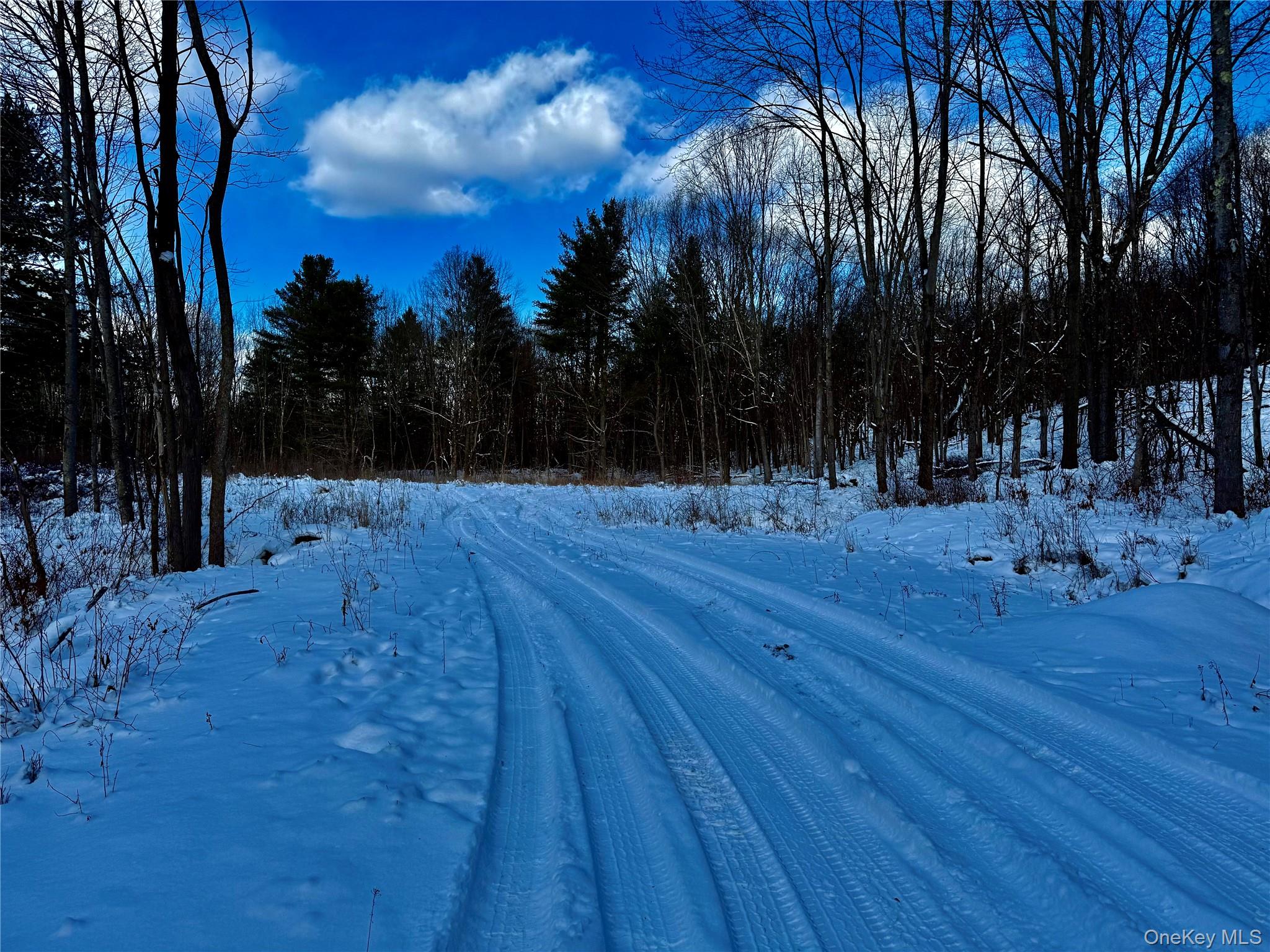 #3 photo, 266 Pitts Road, Chatham , NY 12136